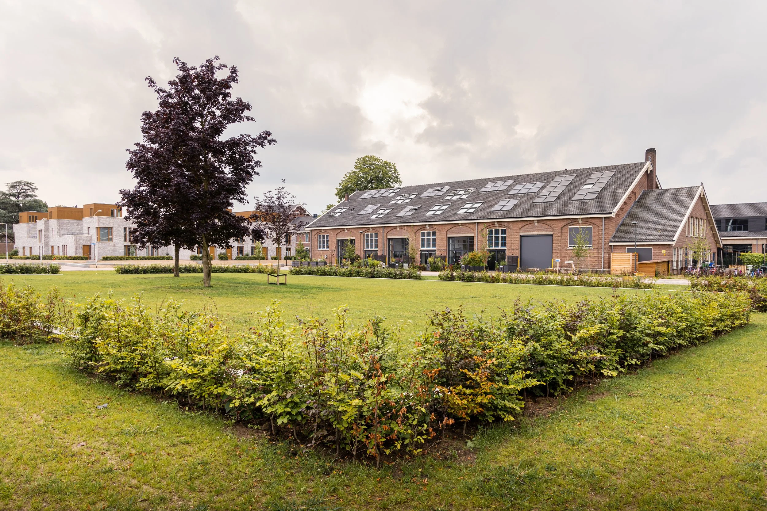 Mauritskazerene-22.jpg