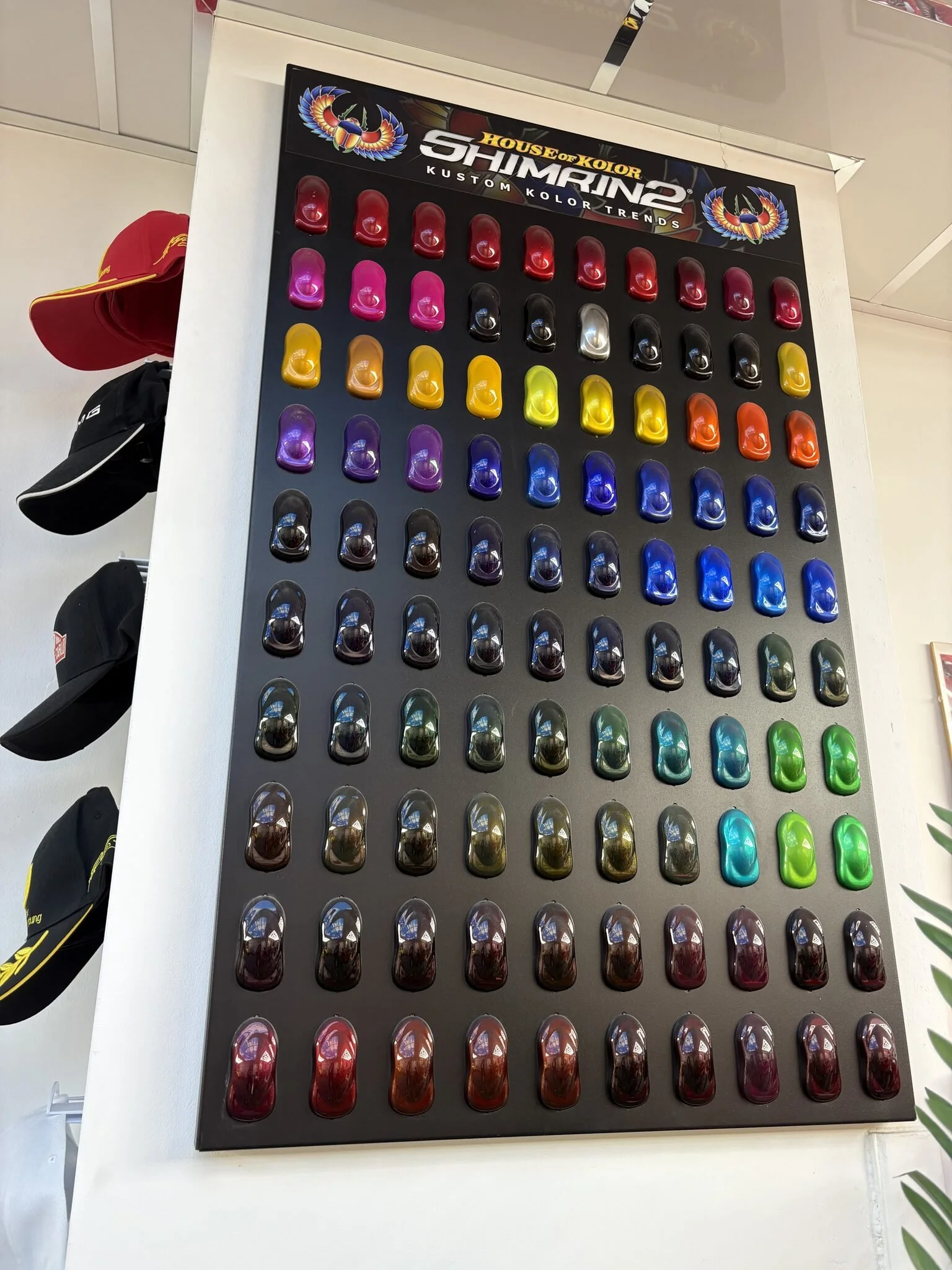 Paint colour sample wall at Automotive Finesse