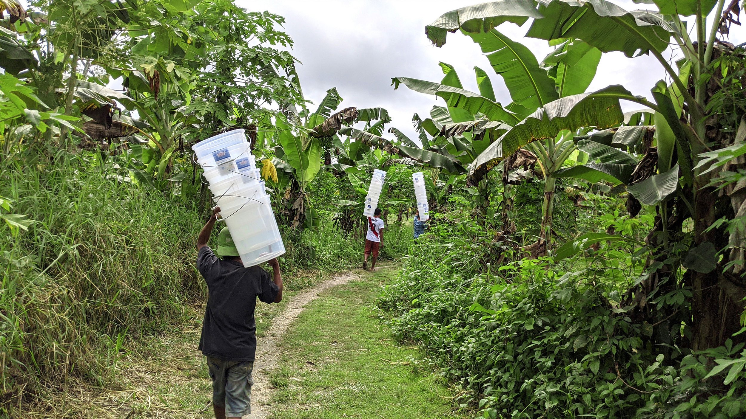 Water For Life Report