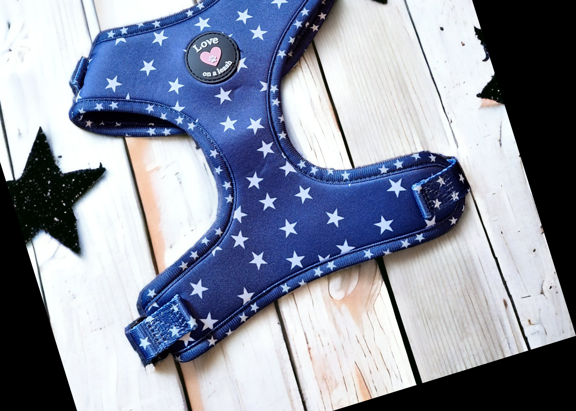 Starry Night Harness