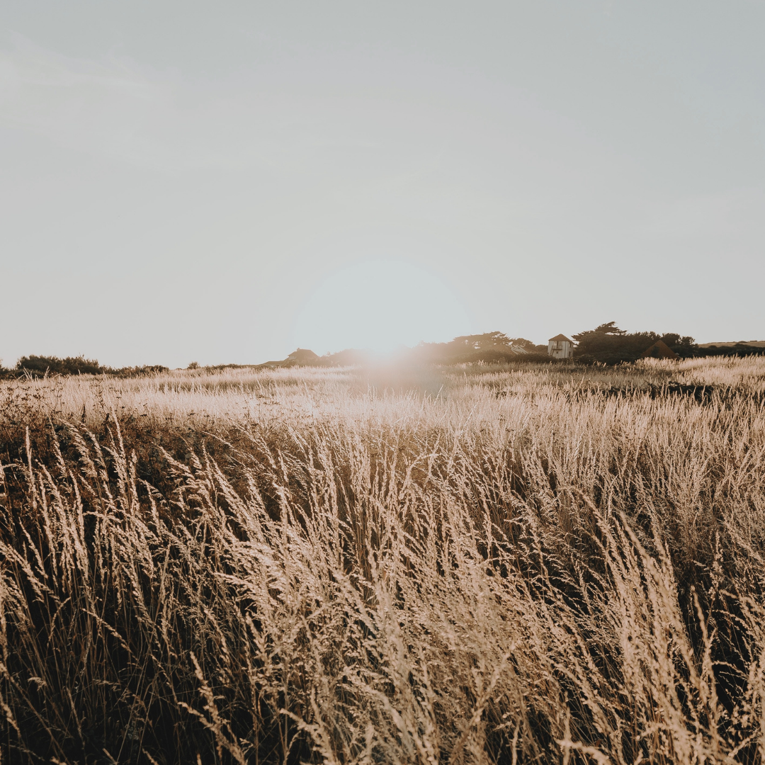 J.7/ Regulate your Hormones