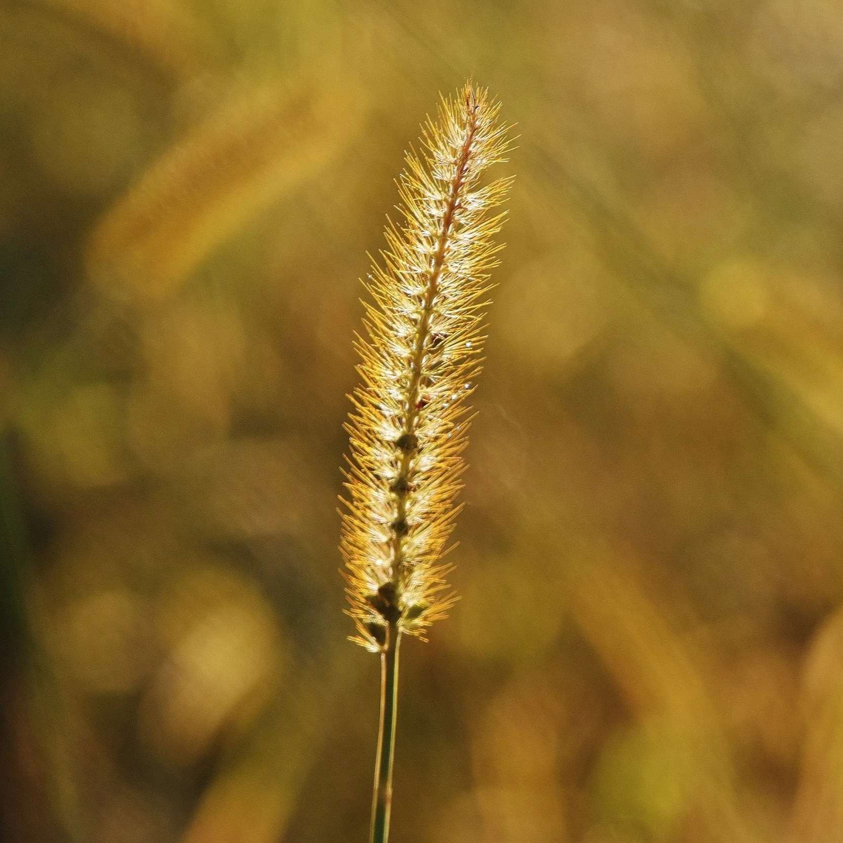 J.14/ Feel More Energetic 