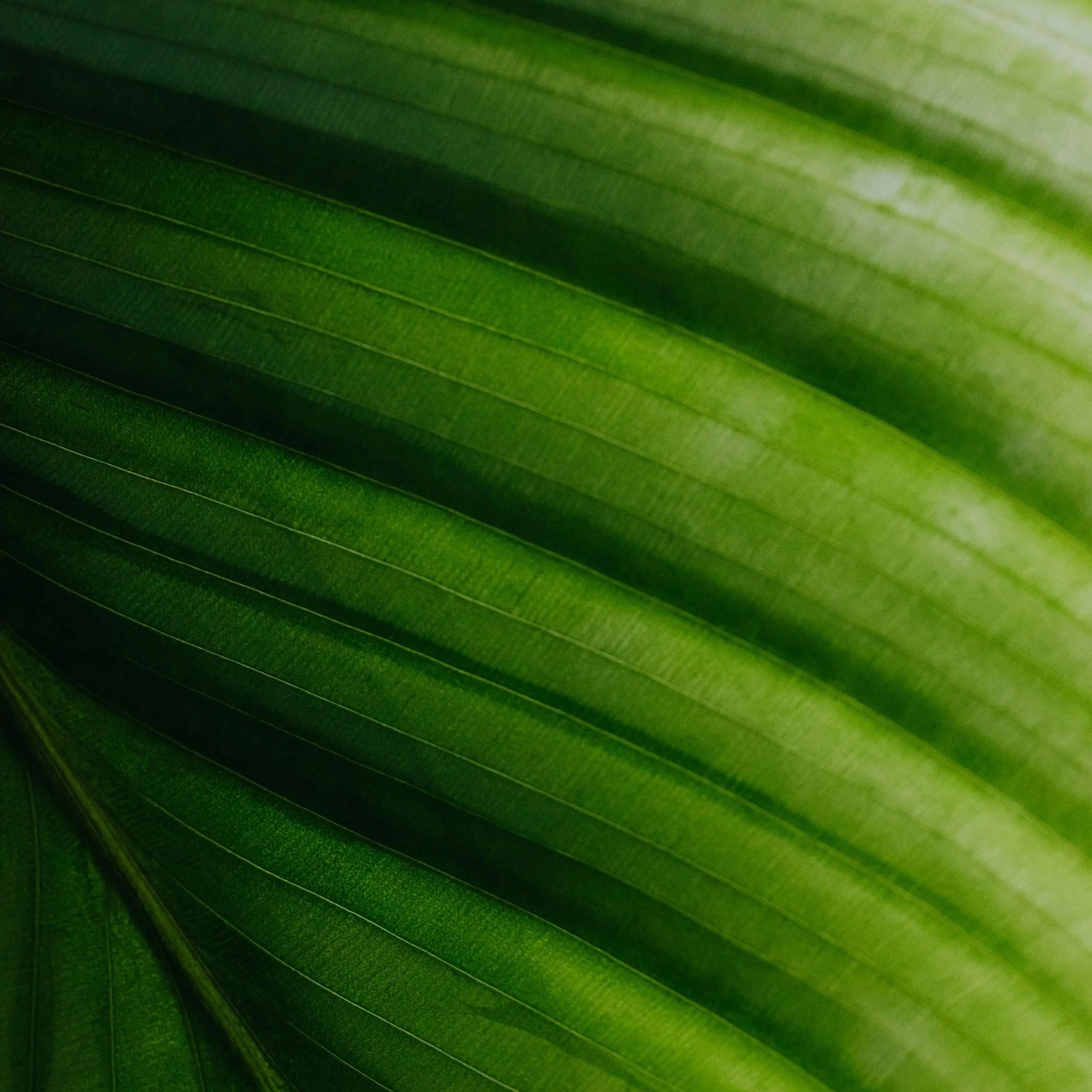 J.37/ Sustainable Wellness Changes