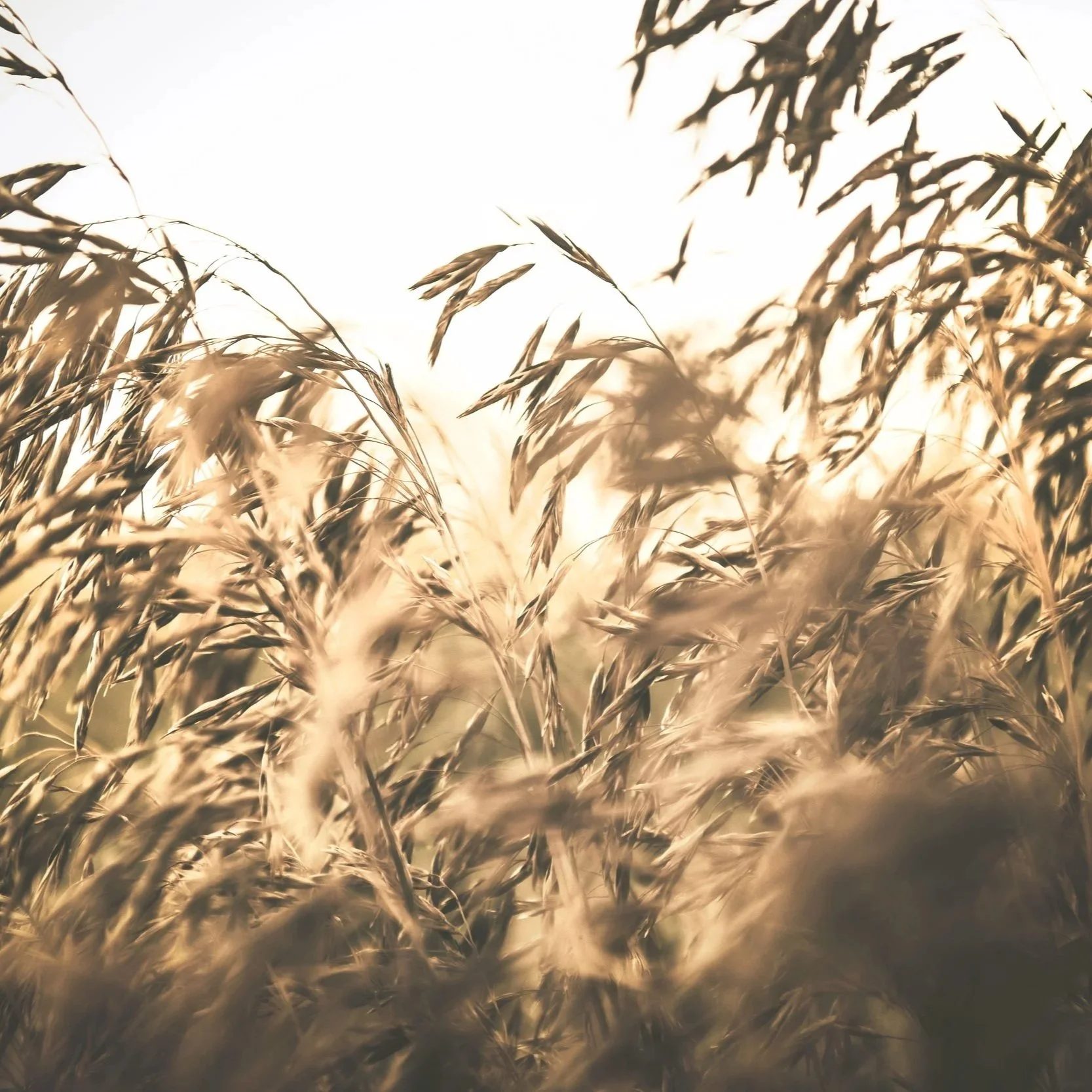 J.41/ How to improve your energy levels 