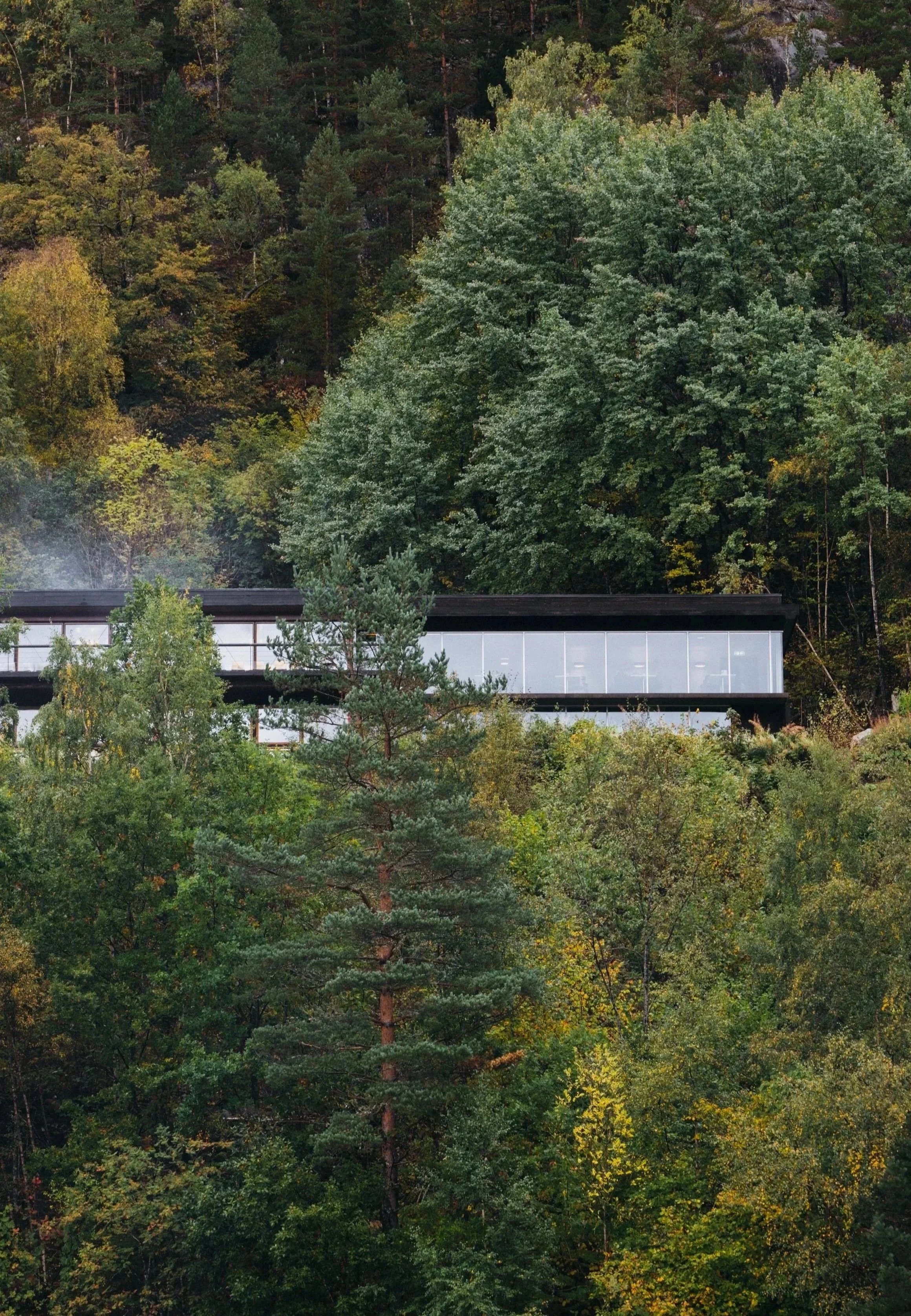 A modern house with large glass windows is situated among dense green trees on a hillside.