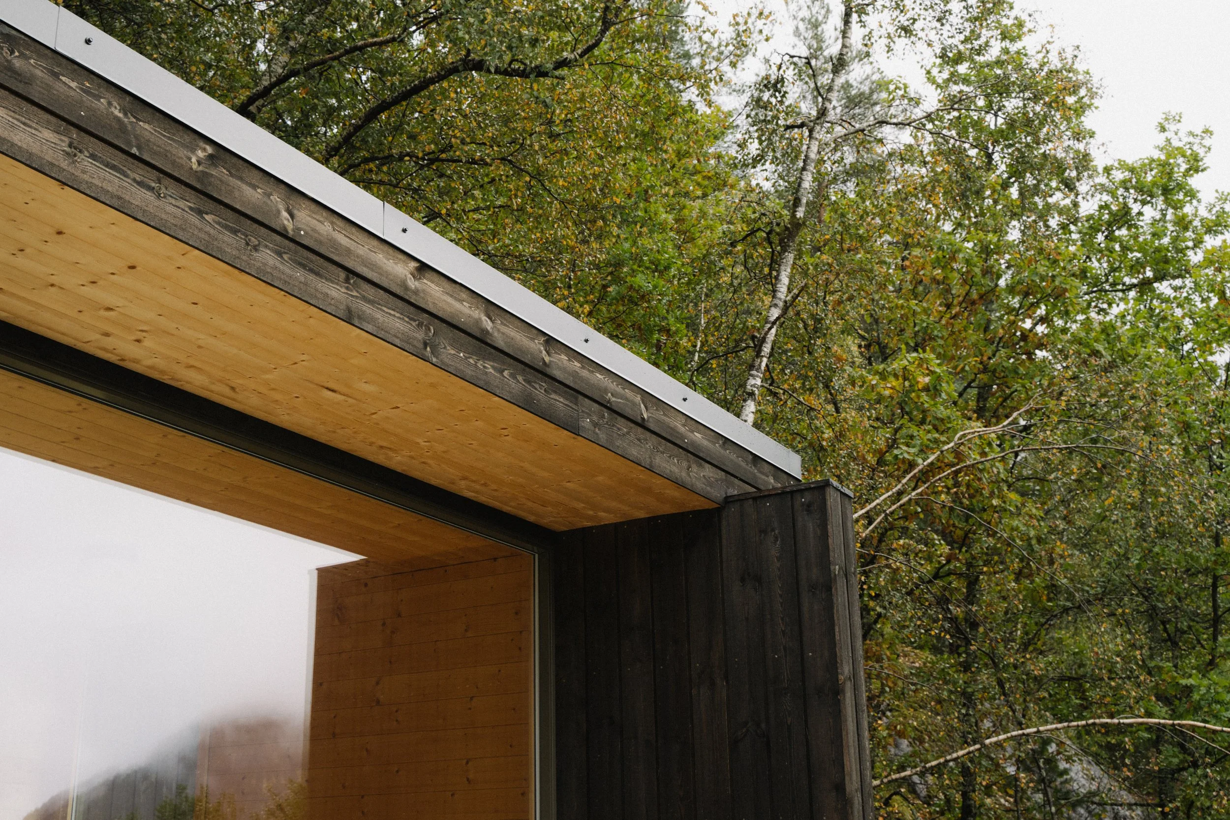 Close-up of a modern building corner with wood and dark siding, large glass window, and background of trees with autumn leaves.