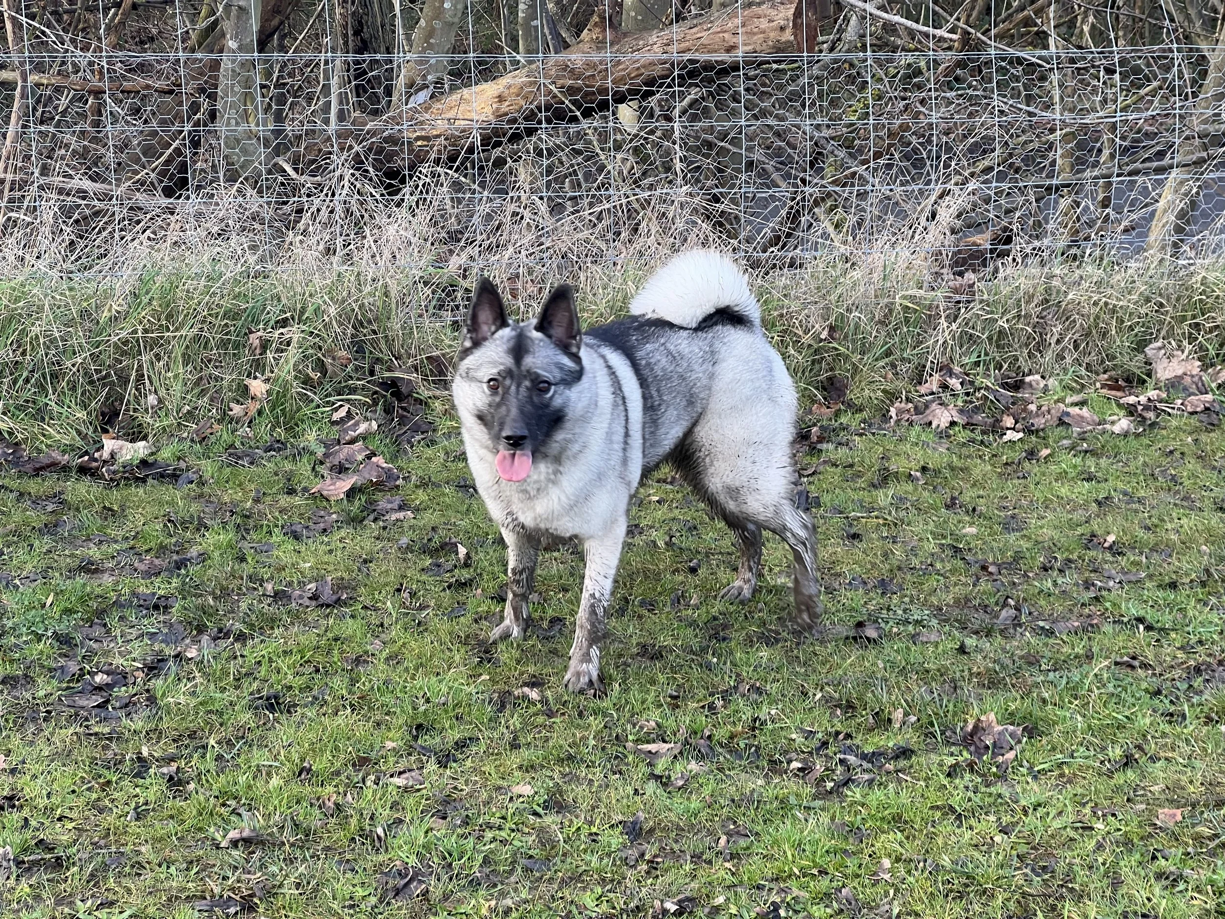 Treskha Tanqueray Tuğba_ Standing