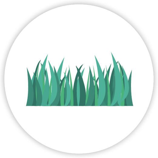 Illustration of a tall grassy area