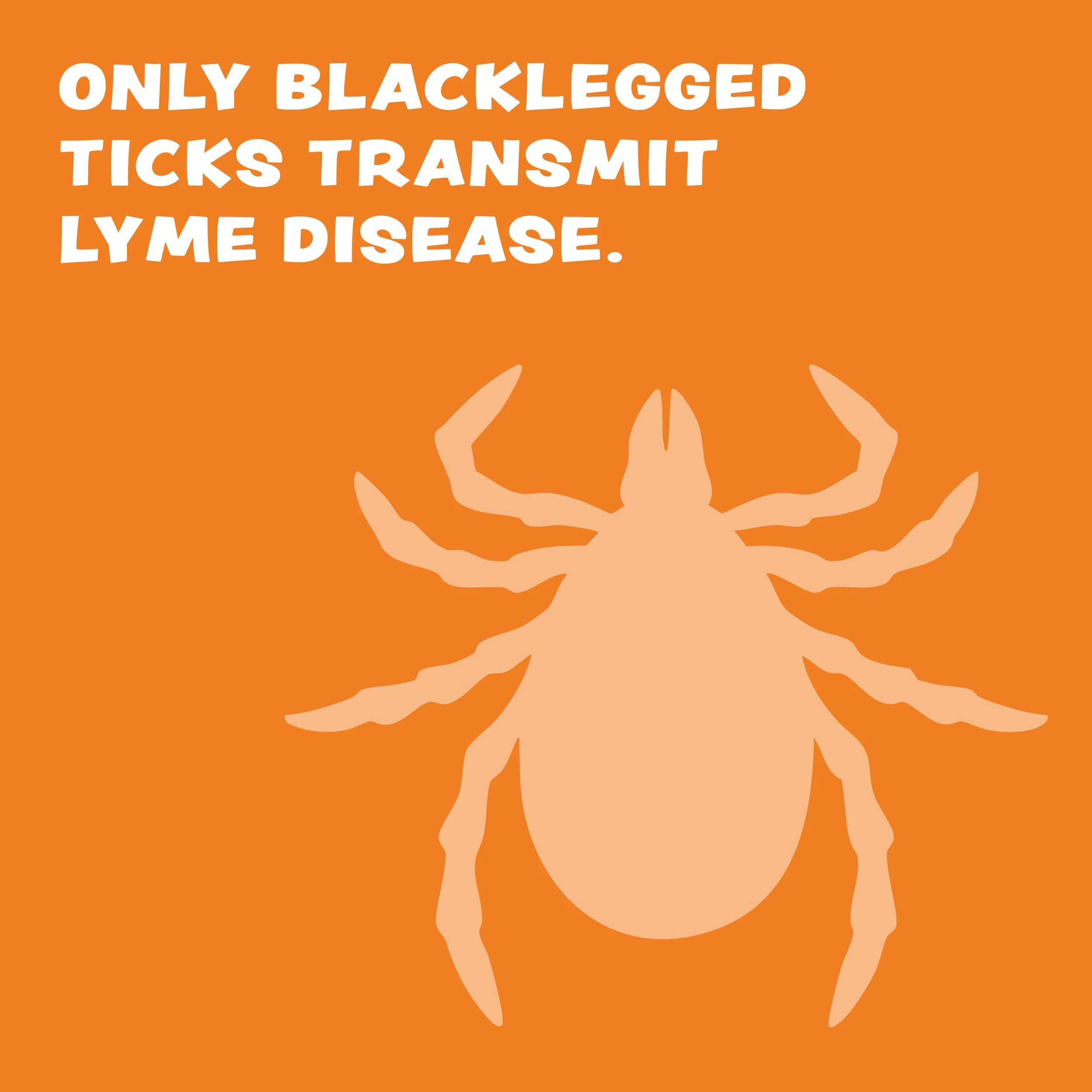 tick fact number 7