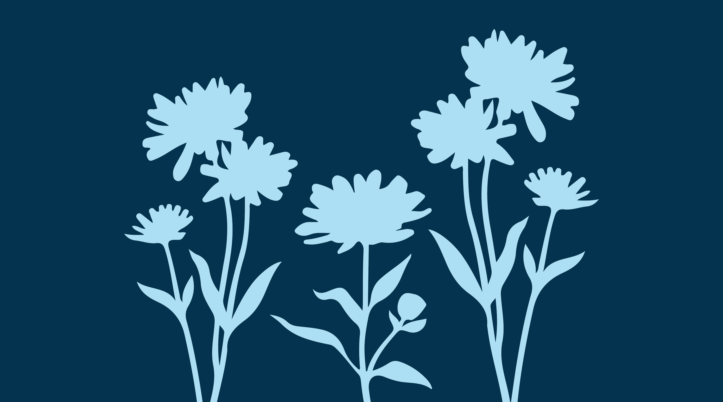 illustration of a wild flowers silhouette