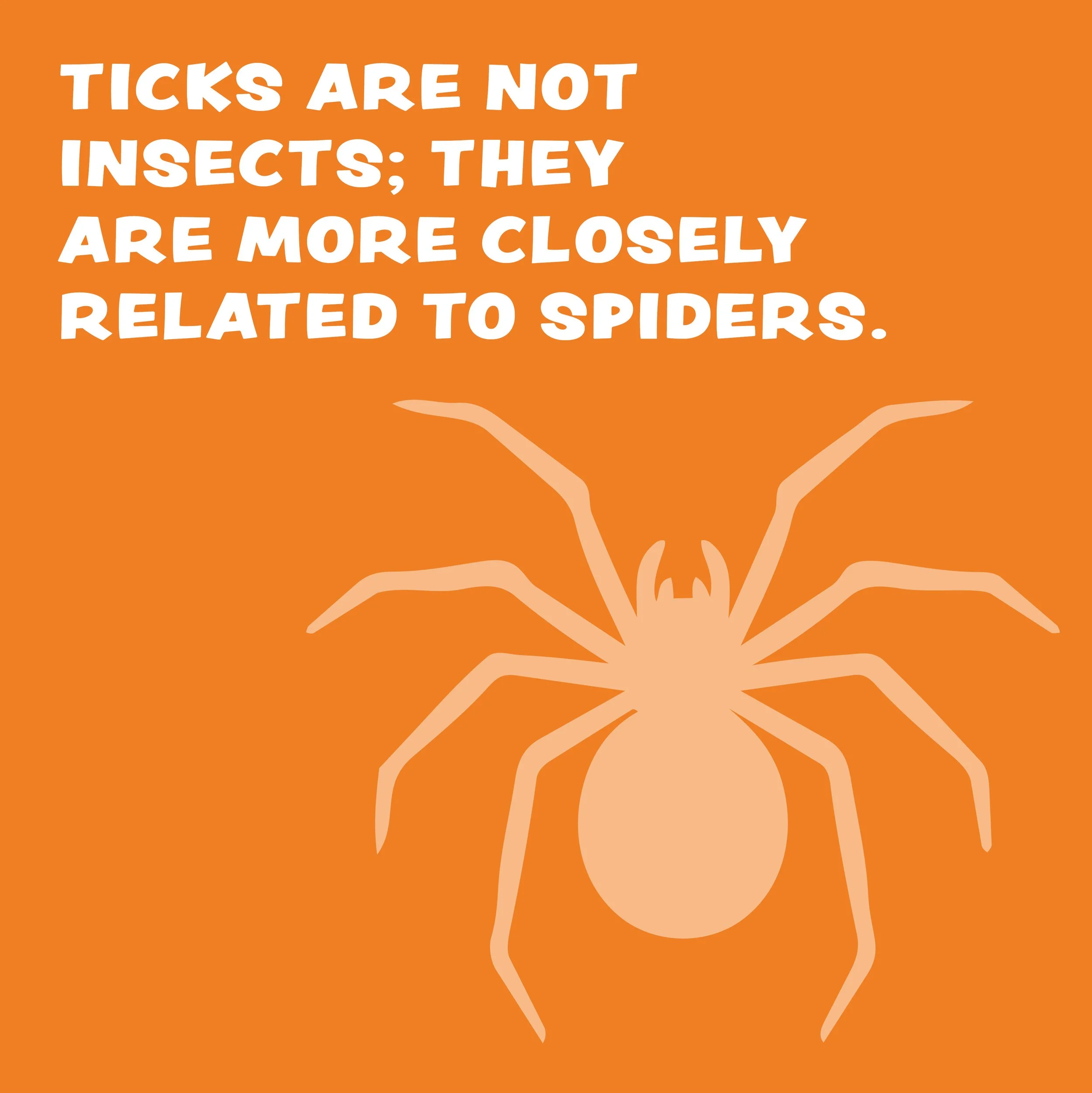 tick fact number 1