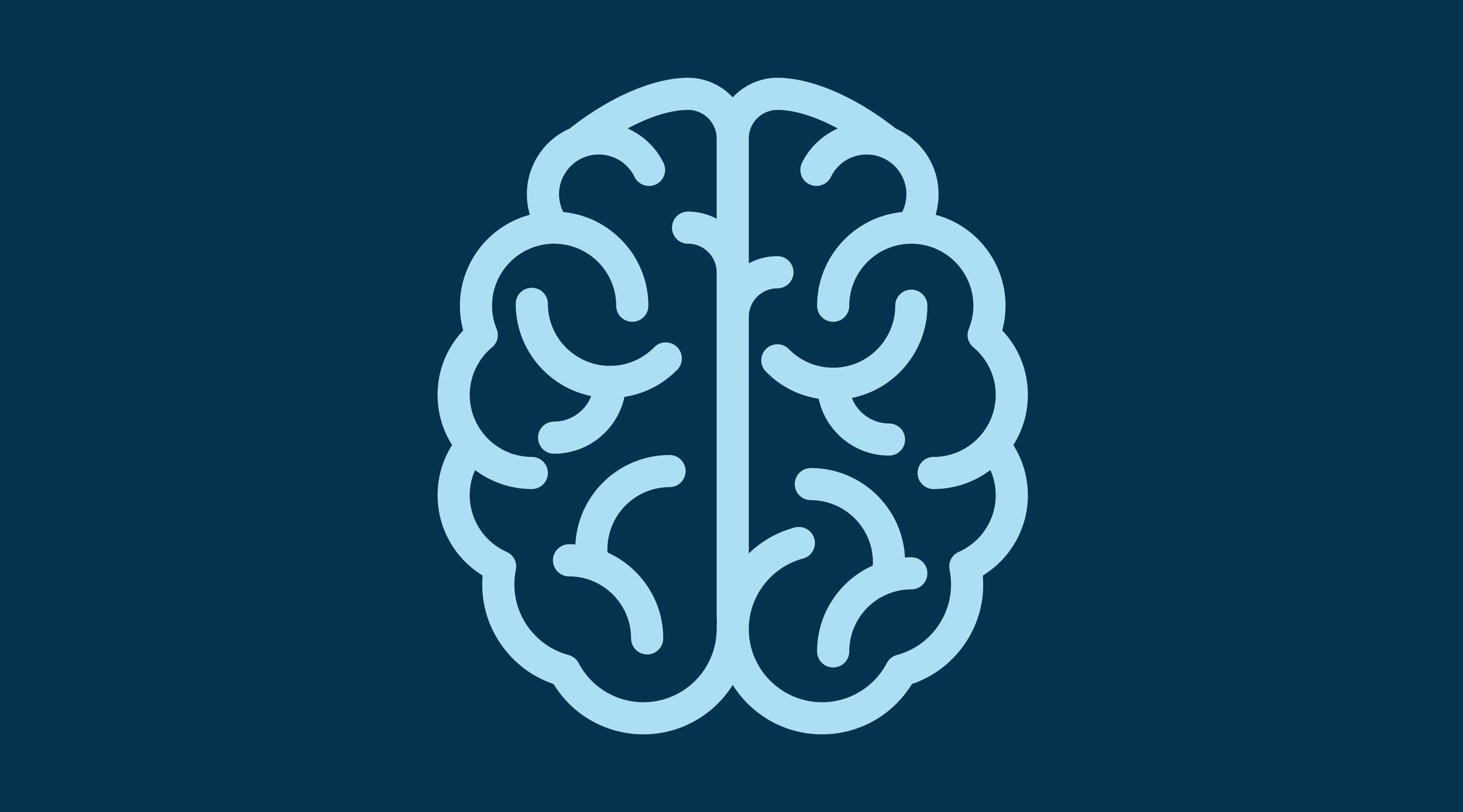 illustration of the human brain