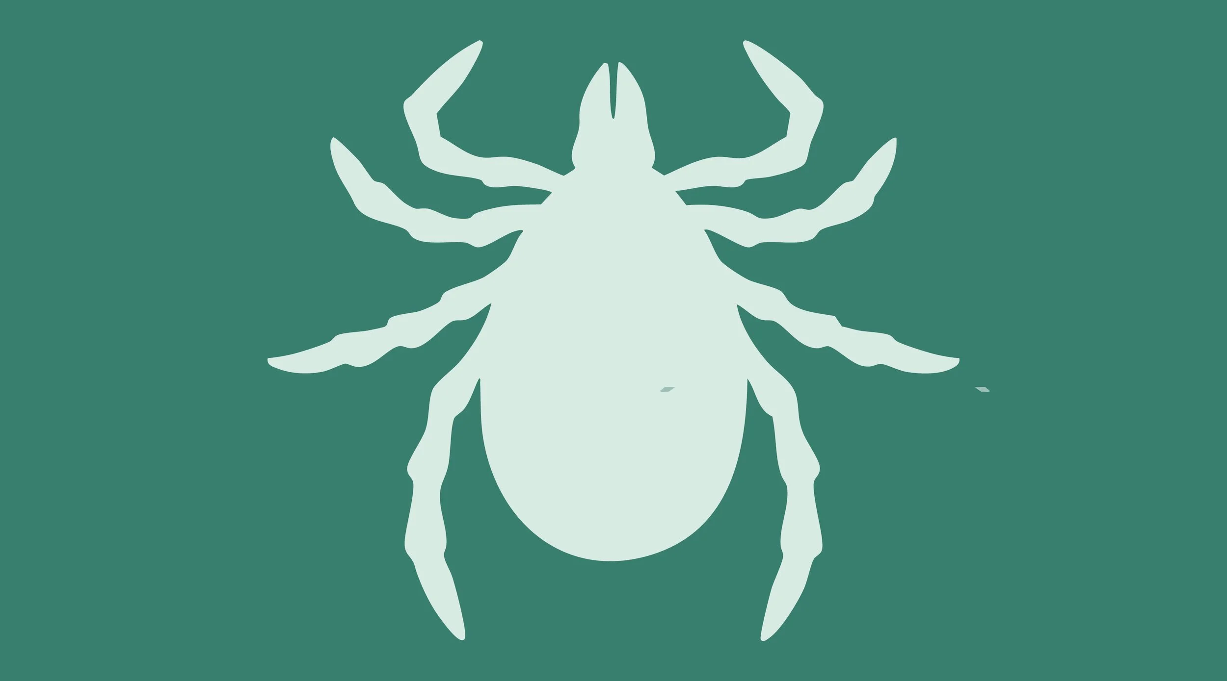 Illustration of a tick silhouette