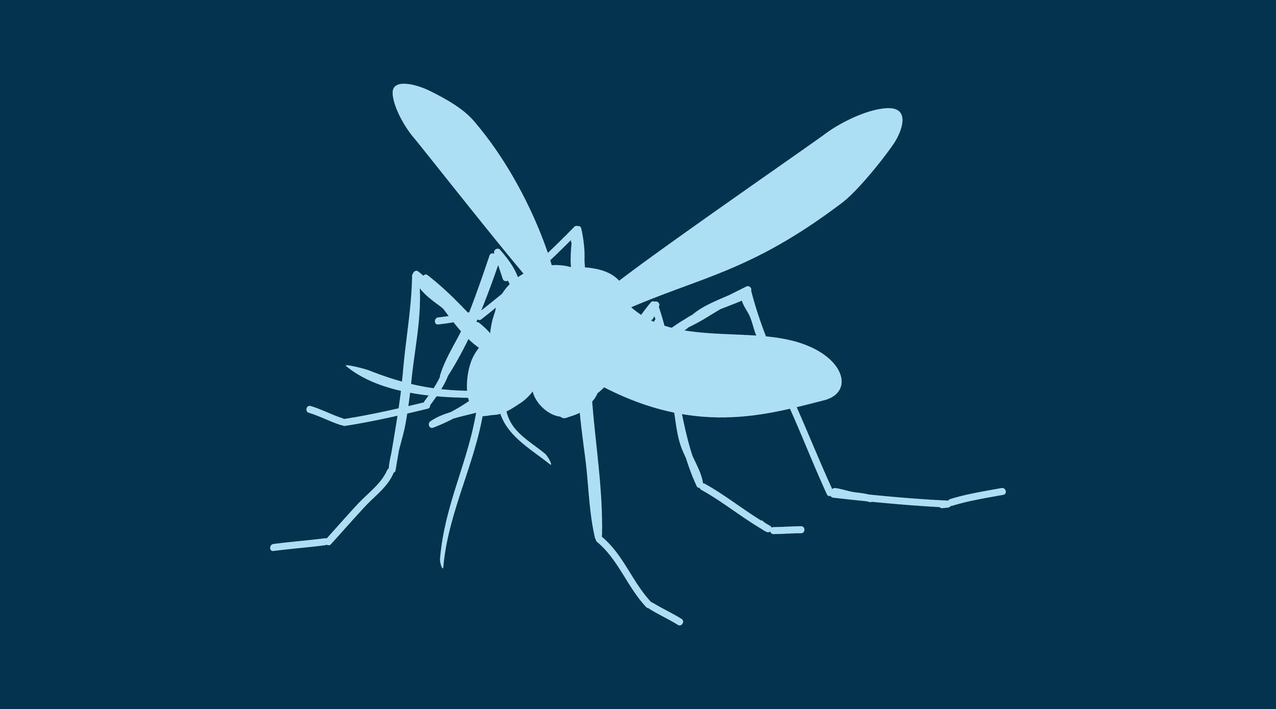 illustration of a resting mosquito silhouette