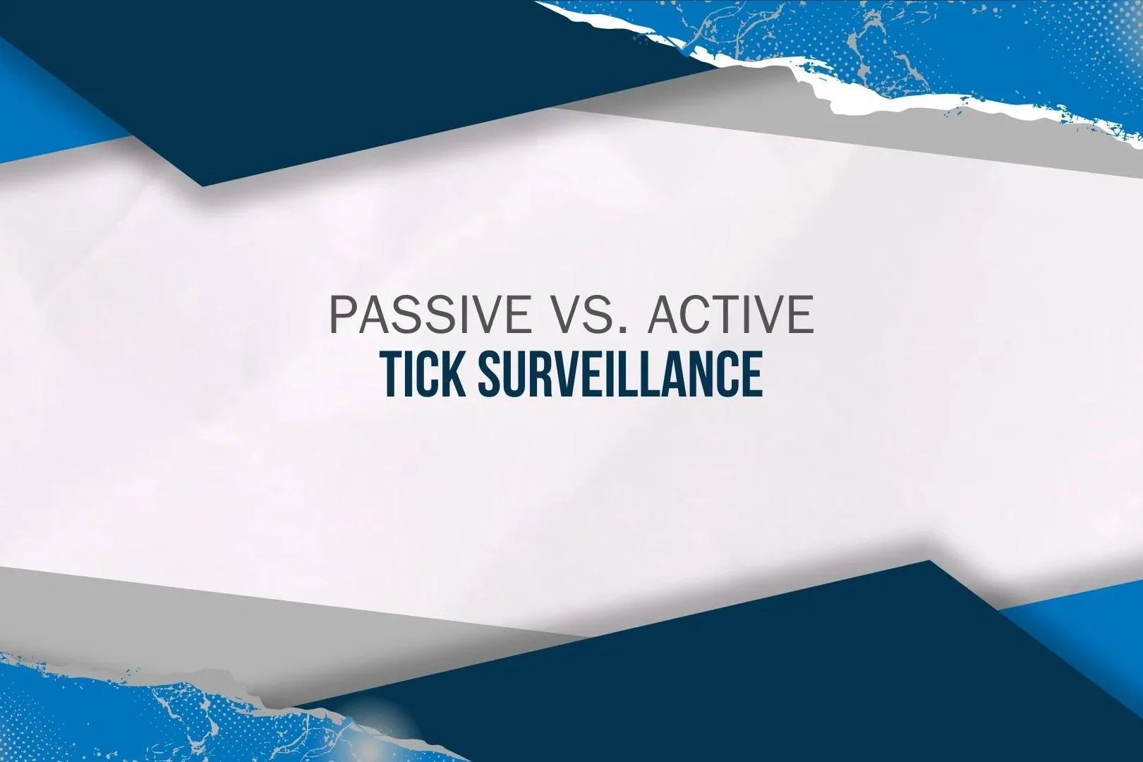 passive v active.jpg