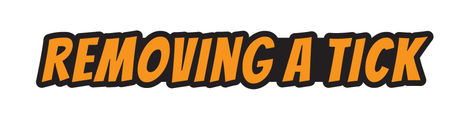 Black and orang graphic that reads Removing a tick