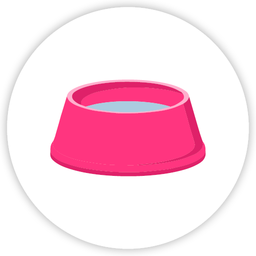 illustration of a hot pink pet bowl holding water