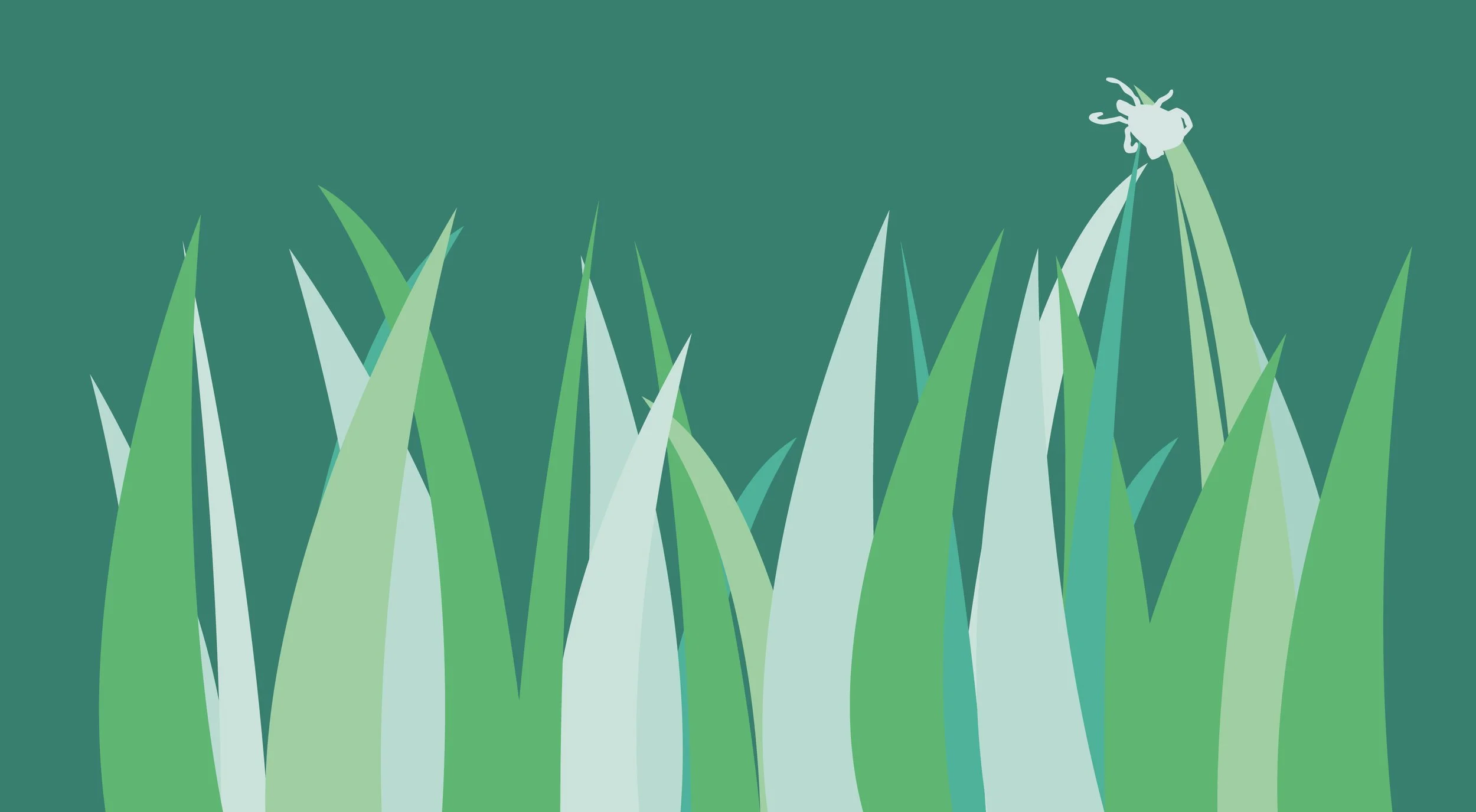 Illustration of a grassy area with a tick questing at the top of a blade of grass