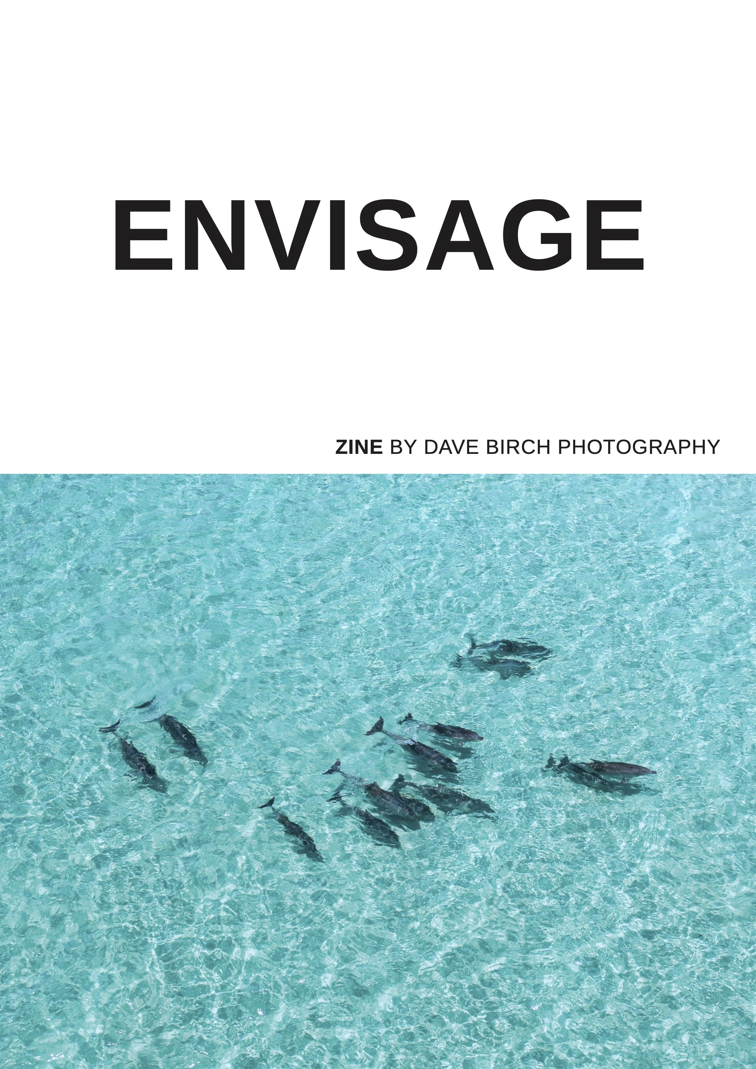 DAVE BIRCH ZINE 32 PG PROOF HR-2 (dragged).jpg