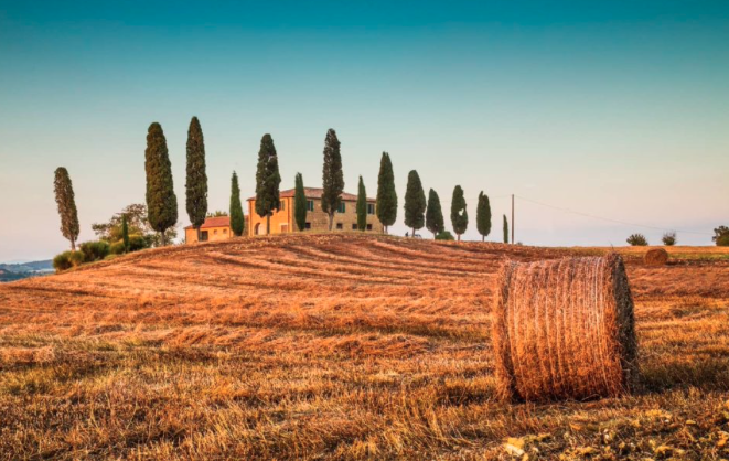 Private curated Florence experience — Live Like a Local Italy