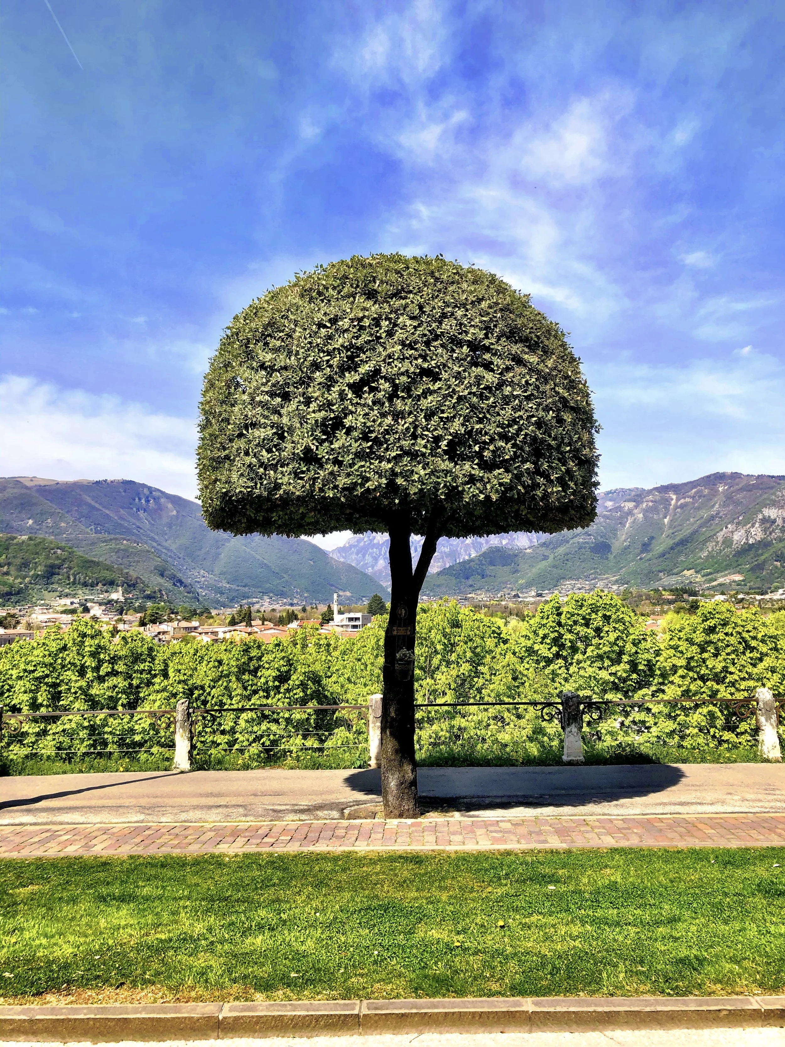 Bassano del Grappa, hidden jewel of the Veneto — private tour, Live Like a Local Italy
