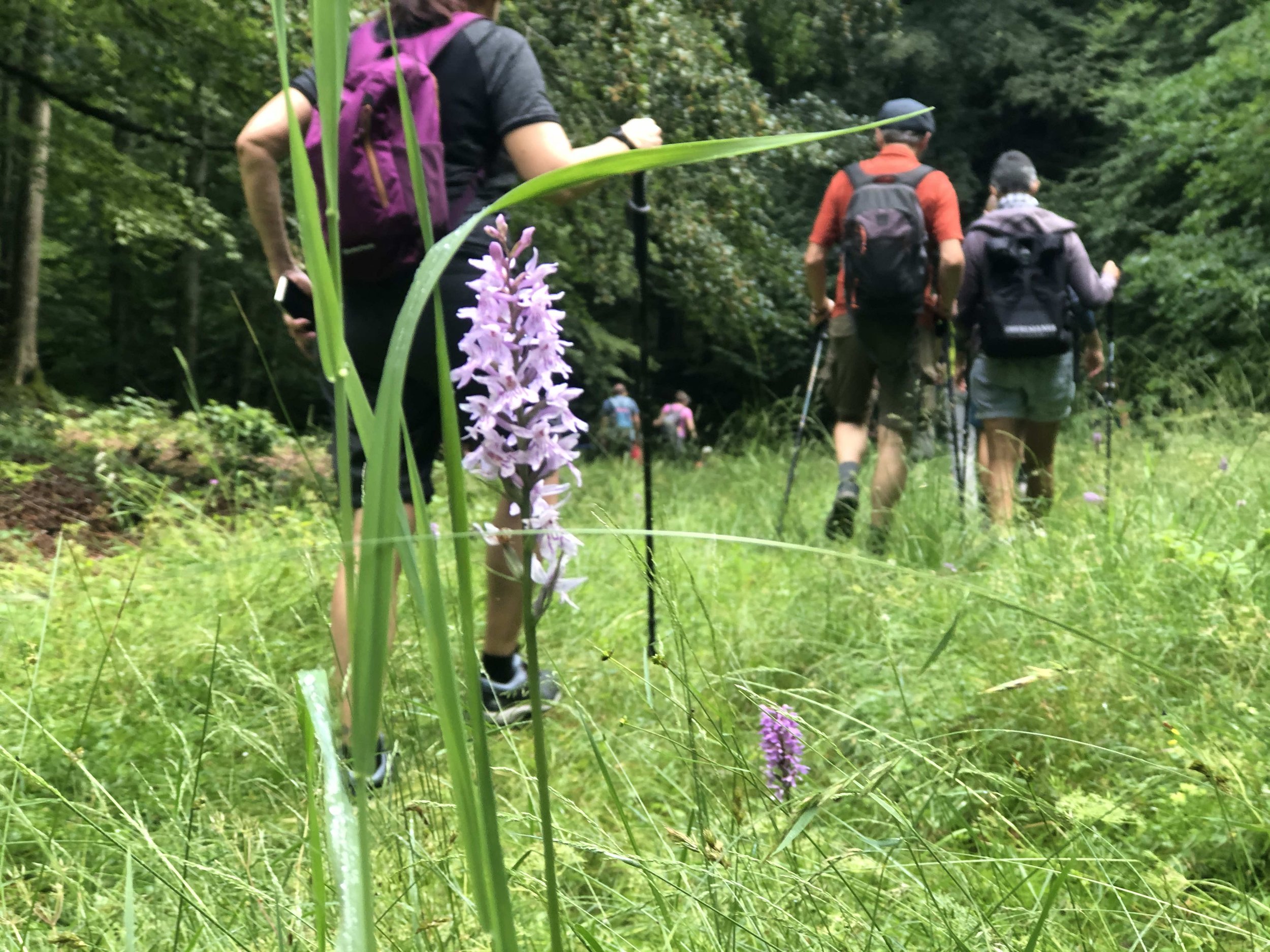 Explore Italy outdoors — hiking, biking and vineyard golf, Live Like a Local Italy