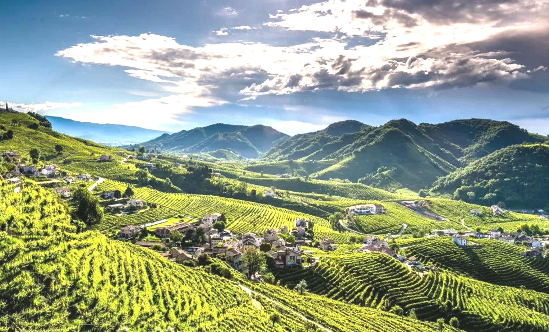 Screen Shot 2023-04-03 at 12.01.16 PM.png