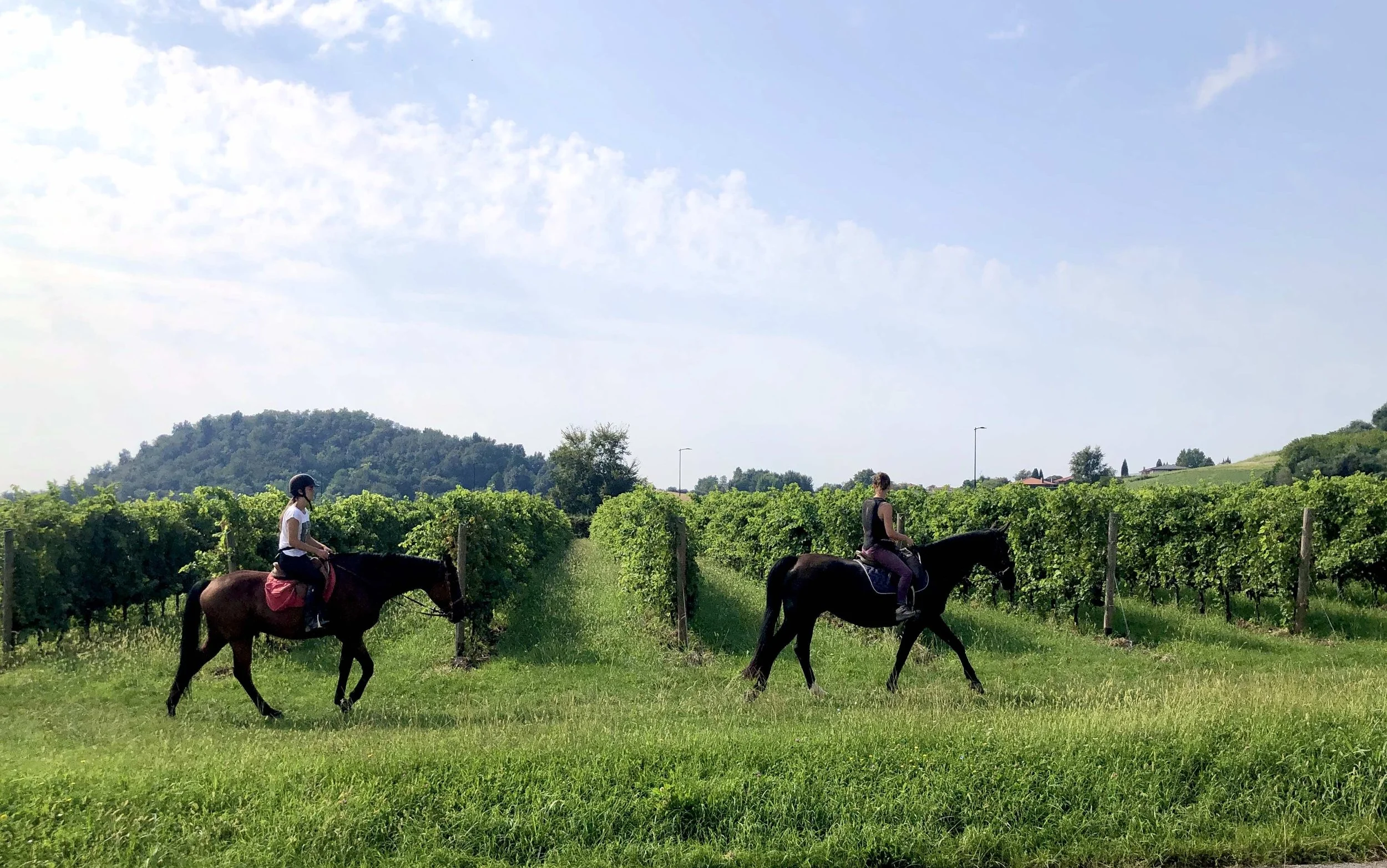 Explore Italy outdoors — hiking, biking and vineyard golf, Live Like a Local Italy