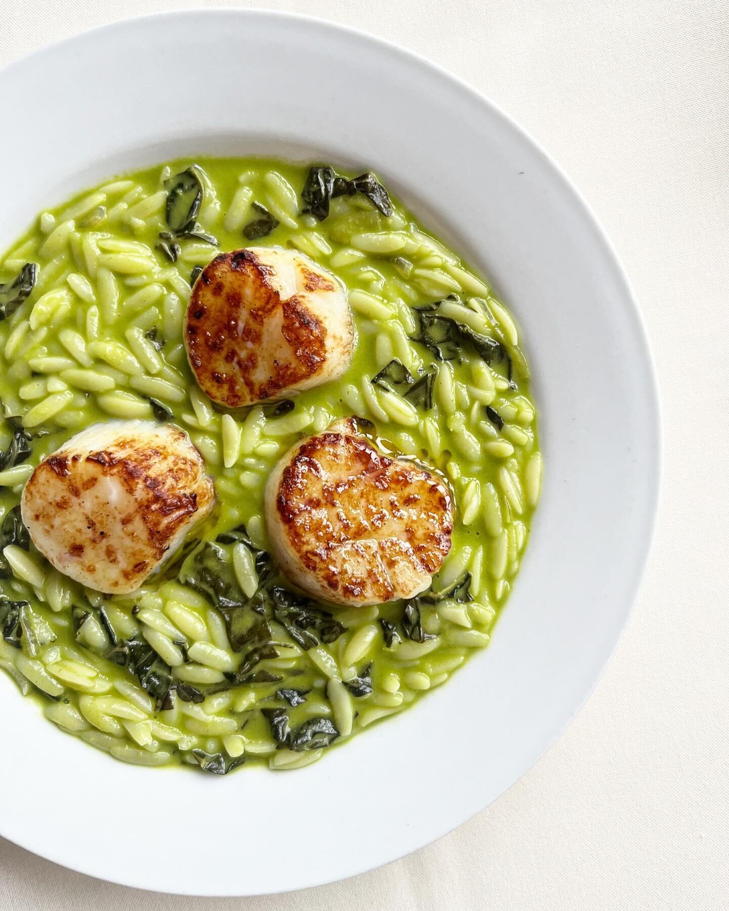 Grilled scallops sitting so pretty in an herby green orzotto :-p