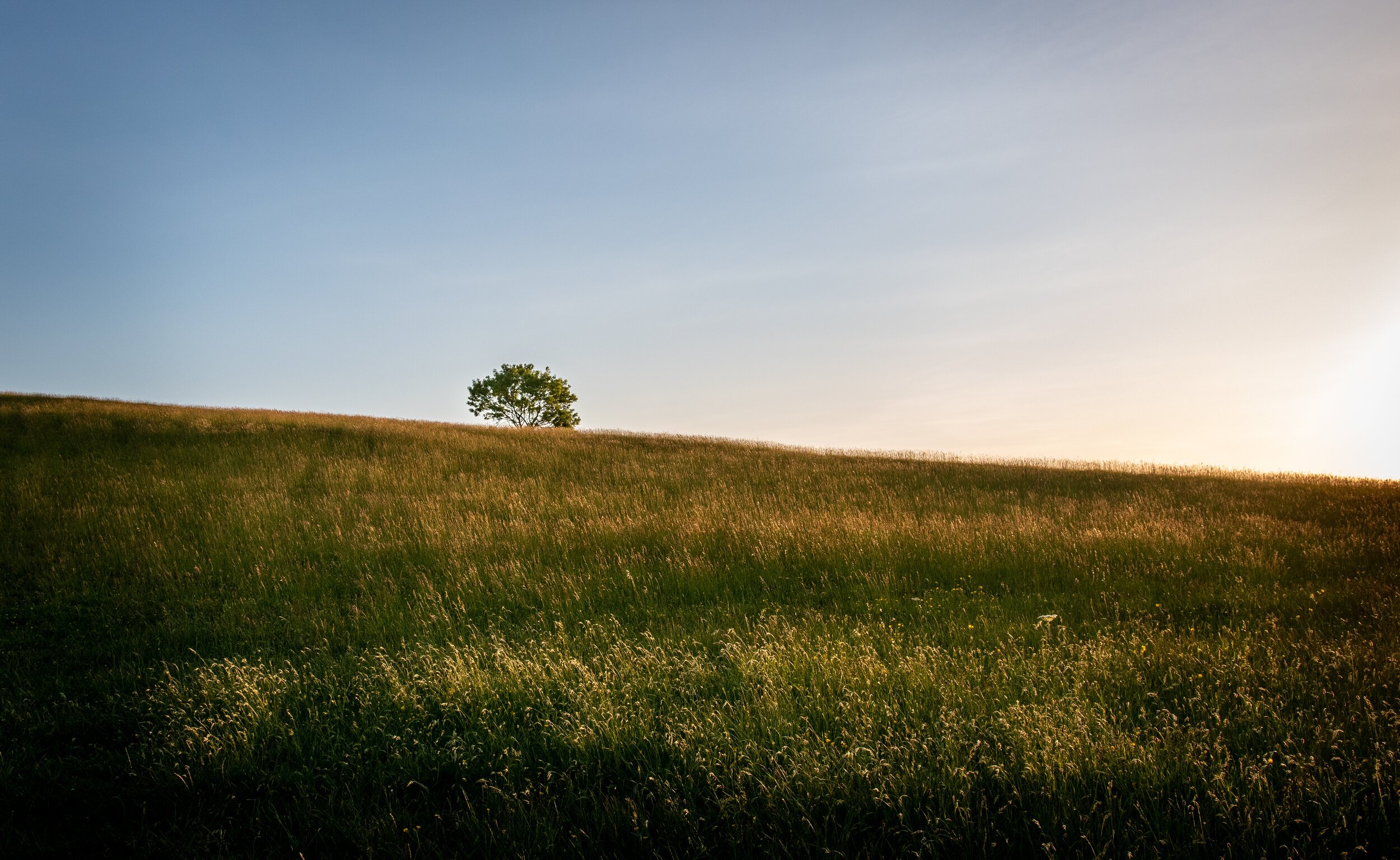 Field of Gold, Bath
