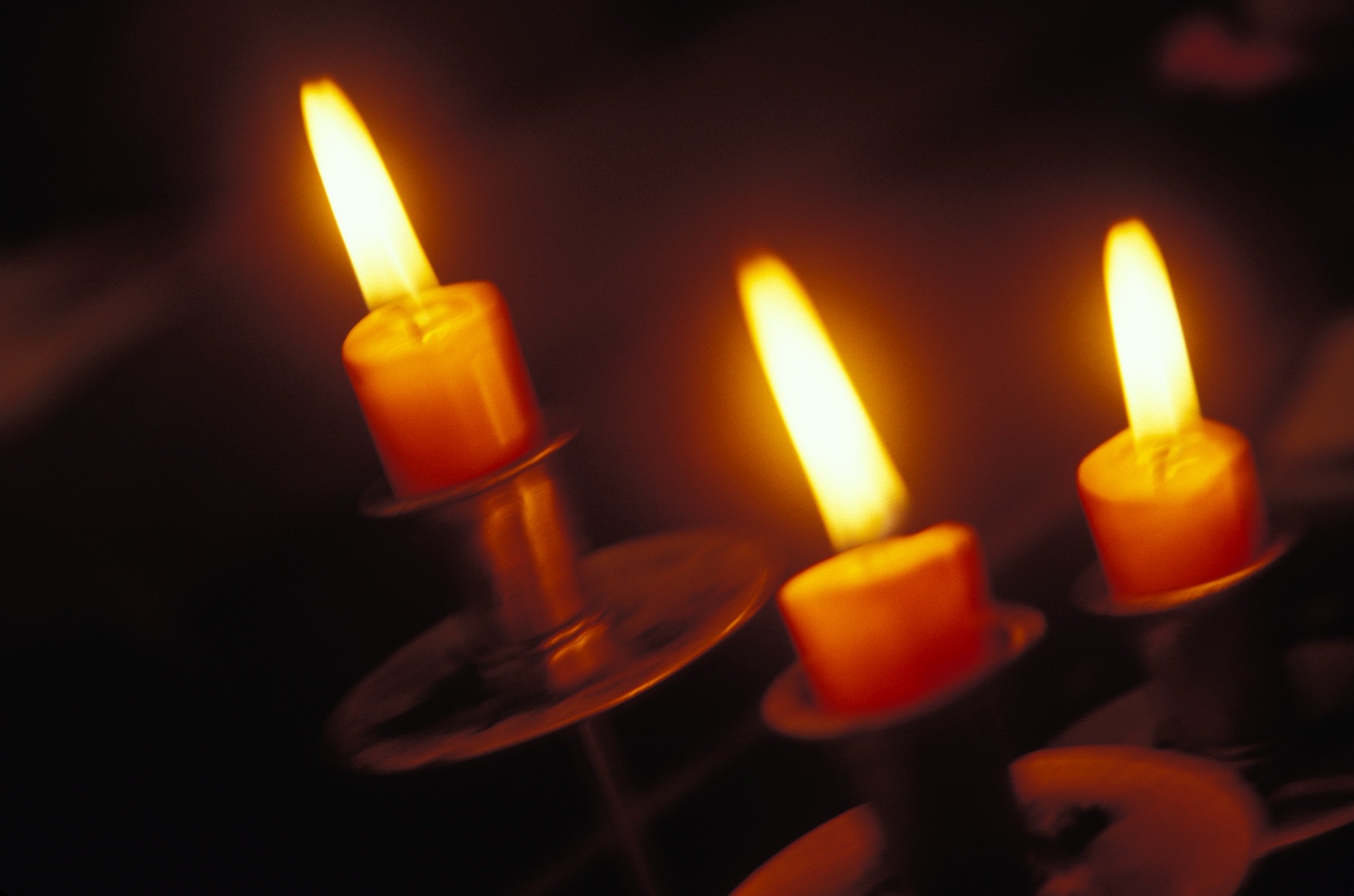 Stewardship and All the Saints