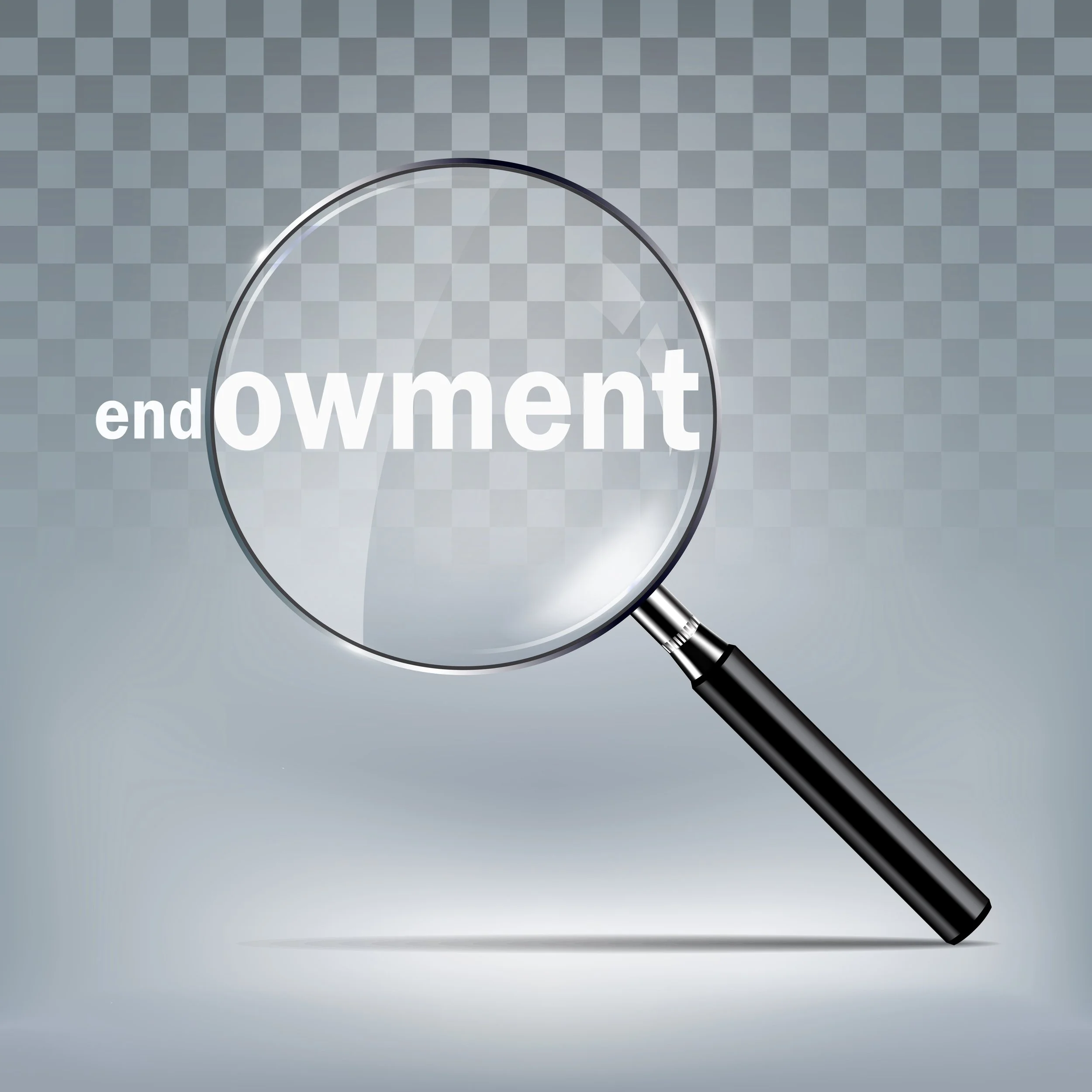 Endowment, Quasi-Endowment, Custodial &amp; Trust Accounts