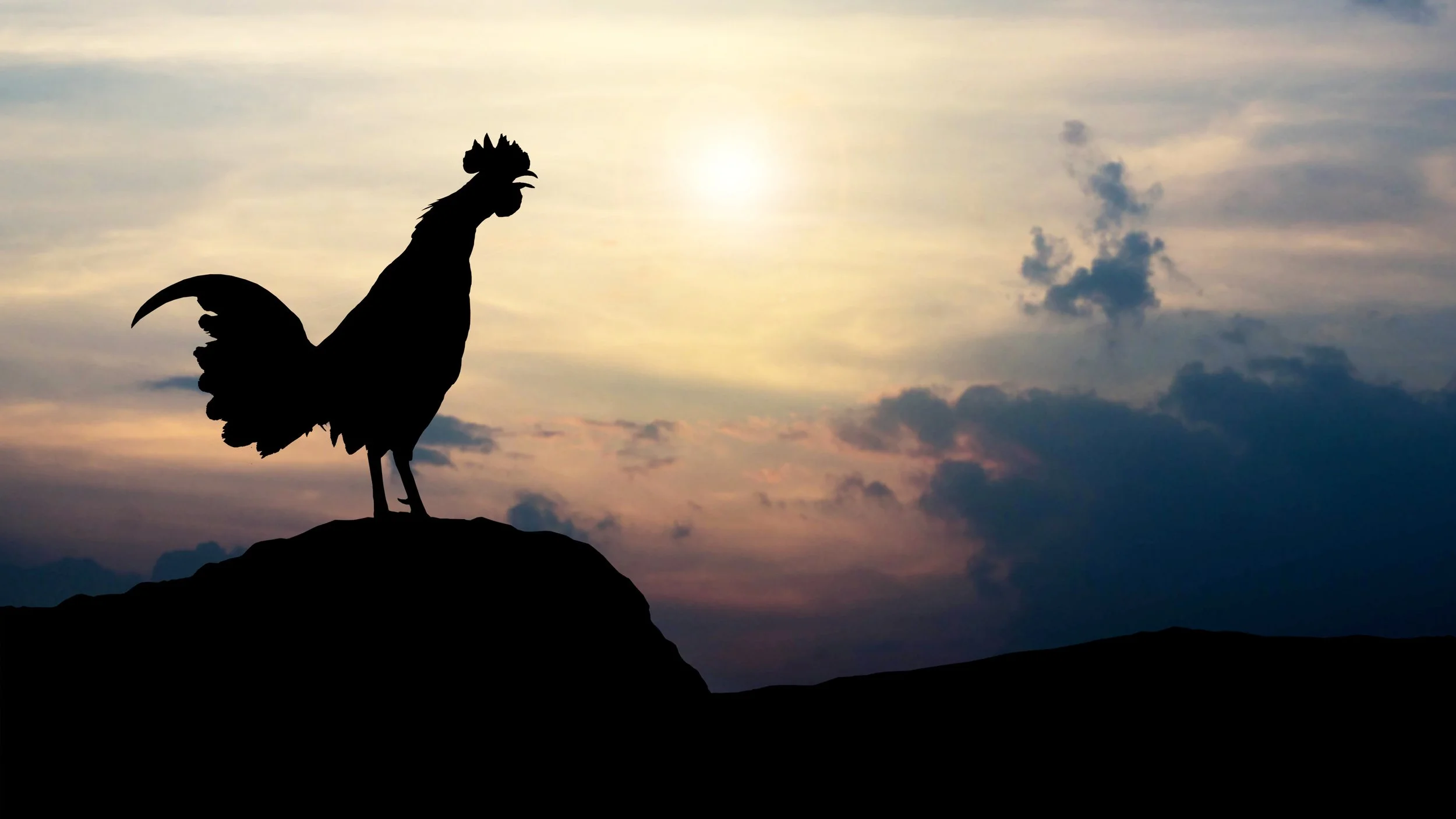 It’s Not Too Early to Start Planning for Stewardship Sunday