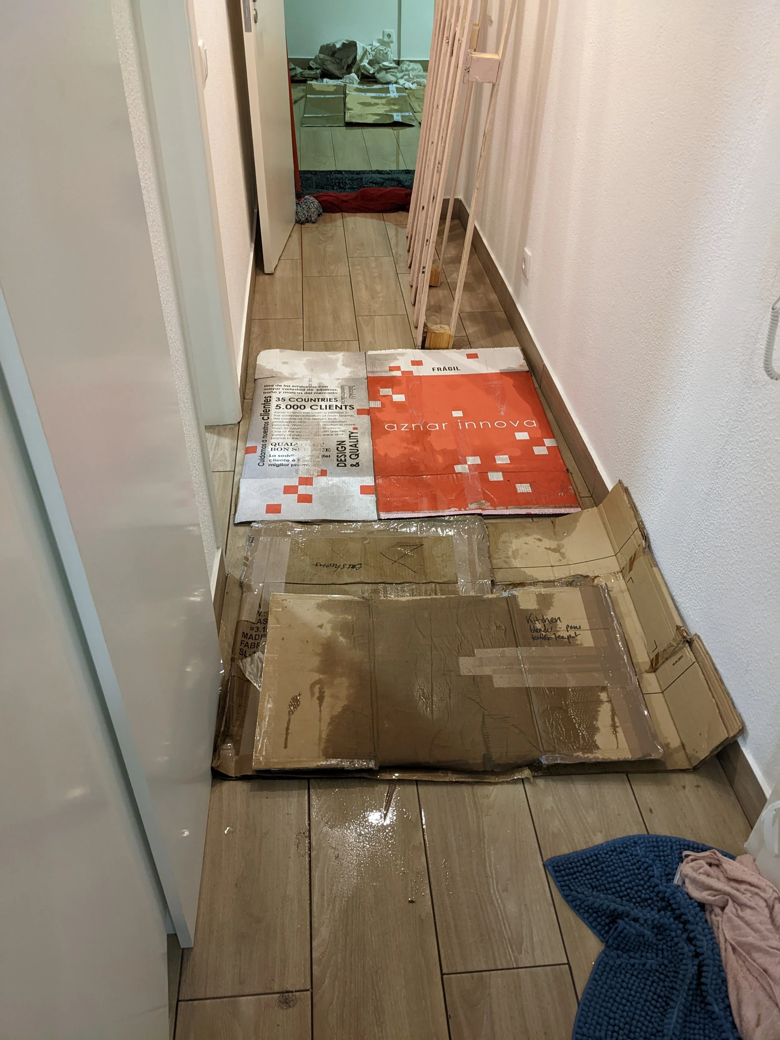 PXL_20221127_222550217 (1).jpg