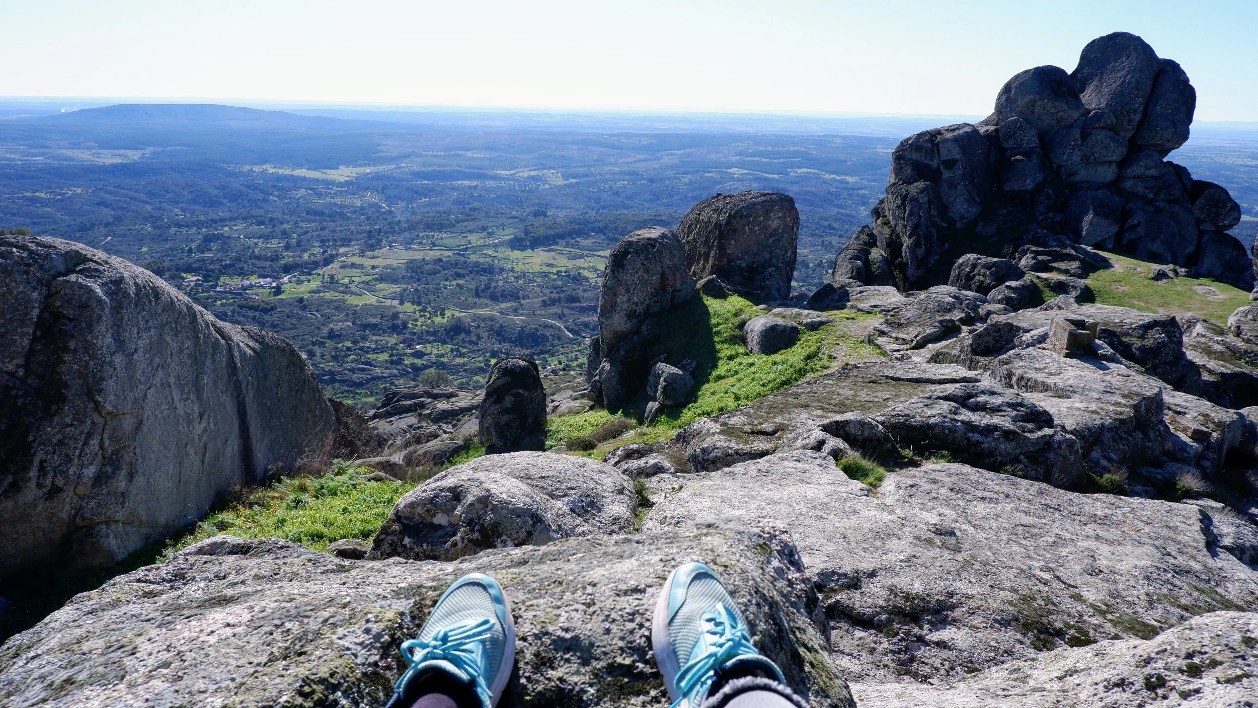 False Start in Monsanto