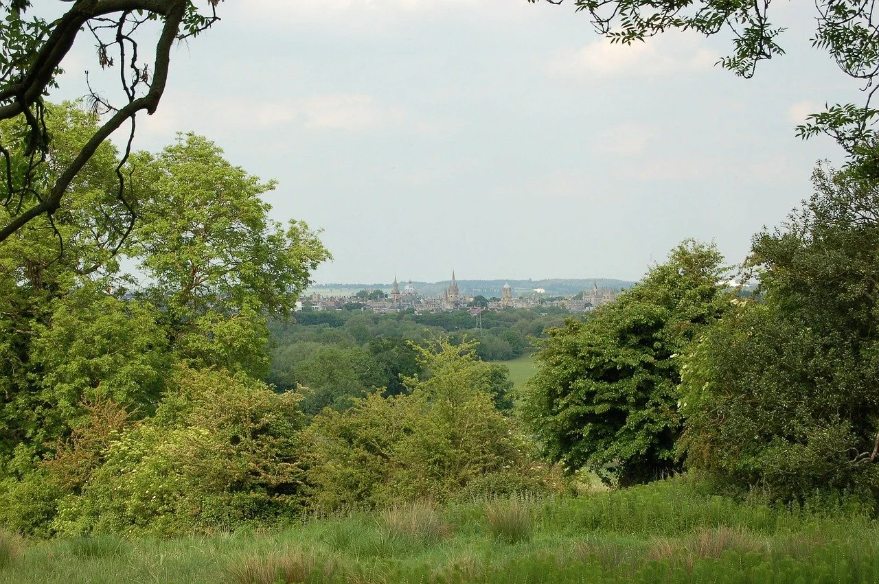 Summer Internship at Oxford Brookes