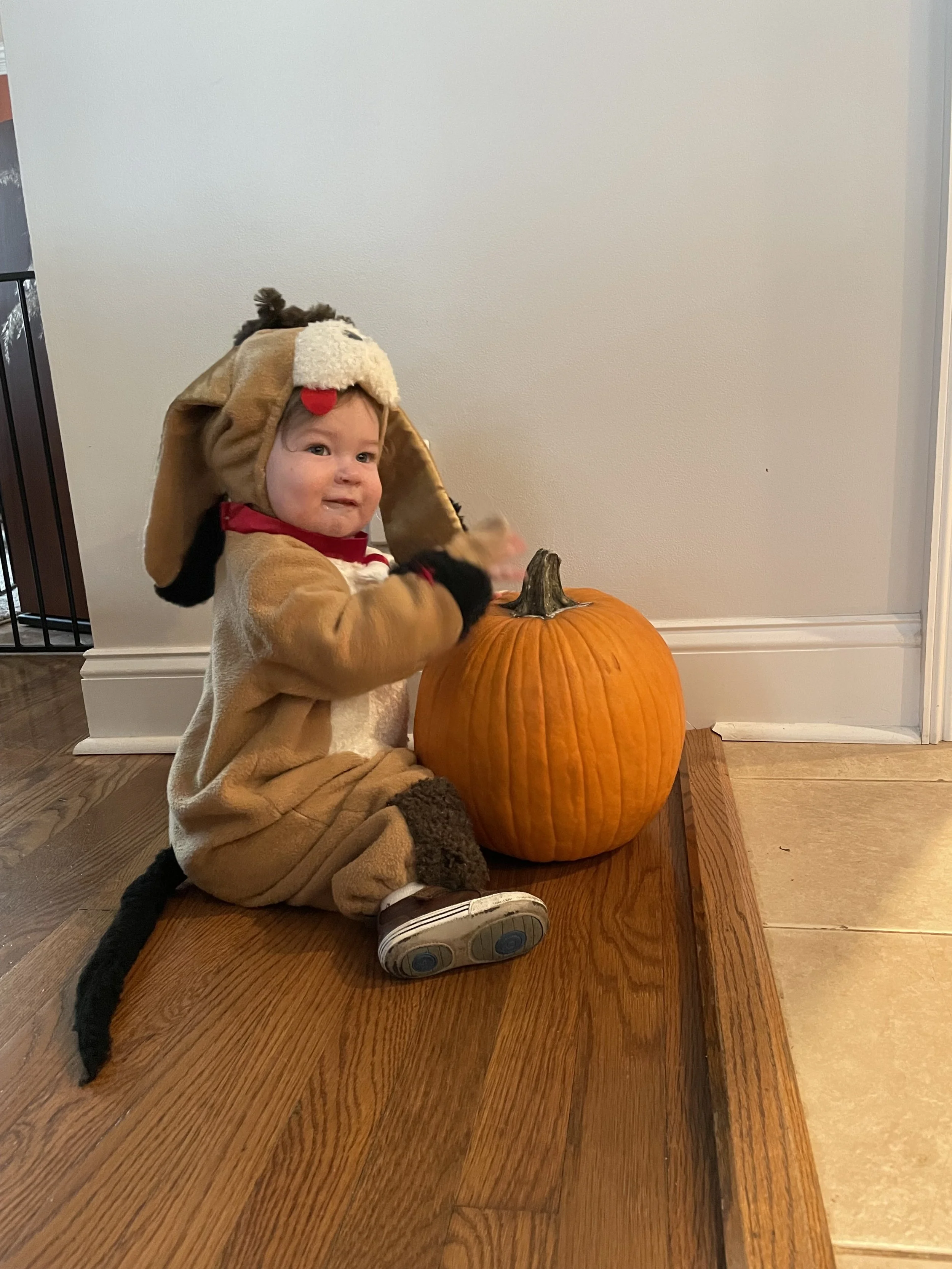 IMG_4867.jpeg