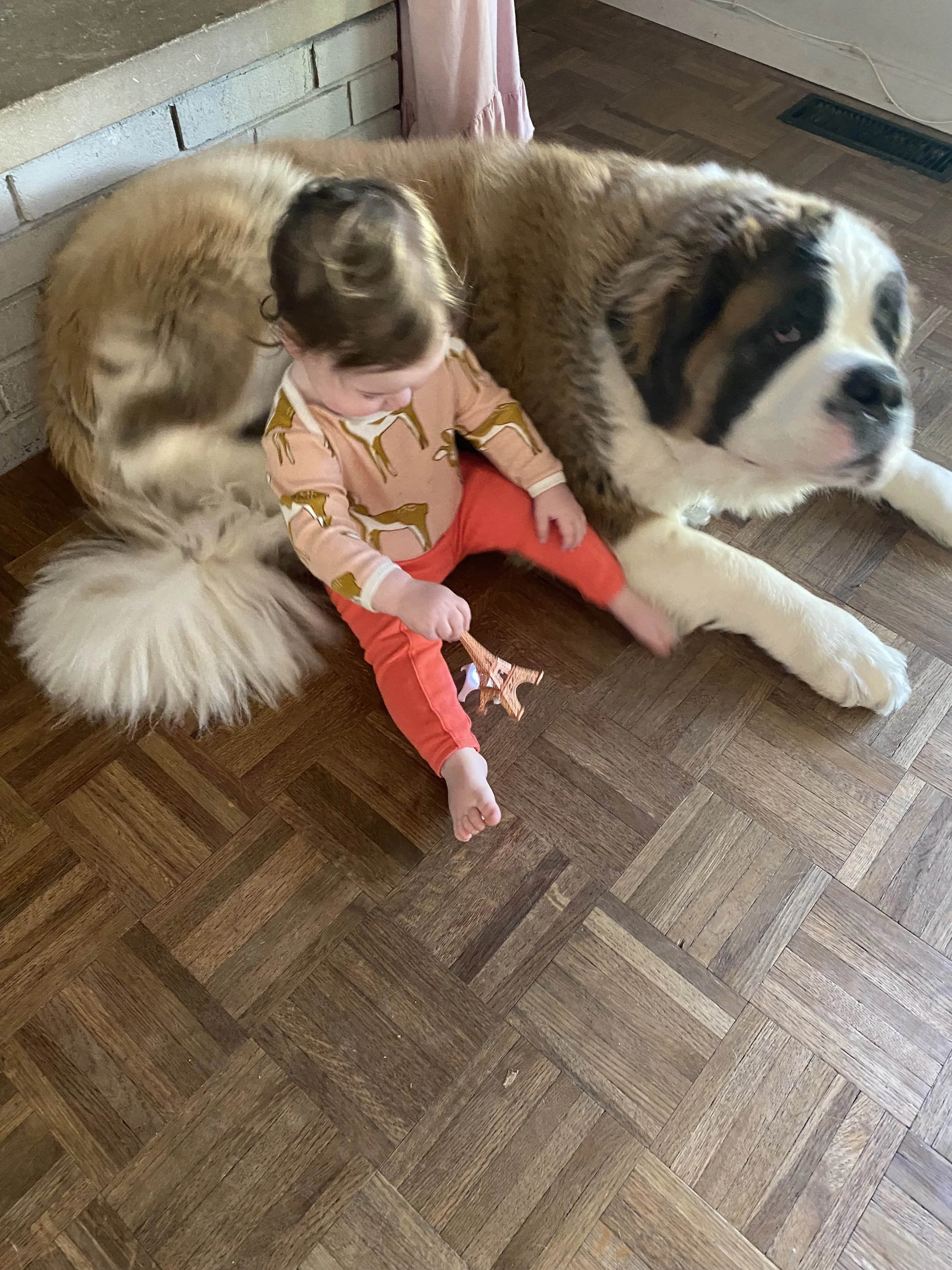 IMG_5963.jpeg
