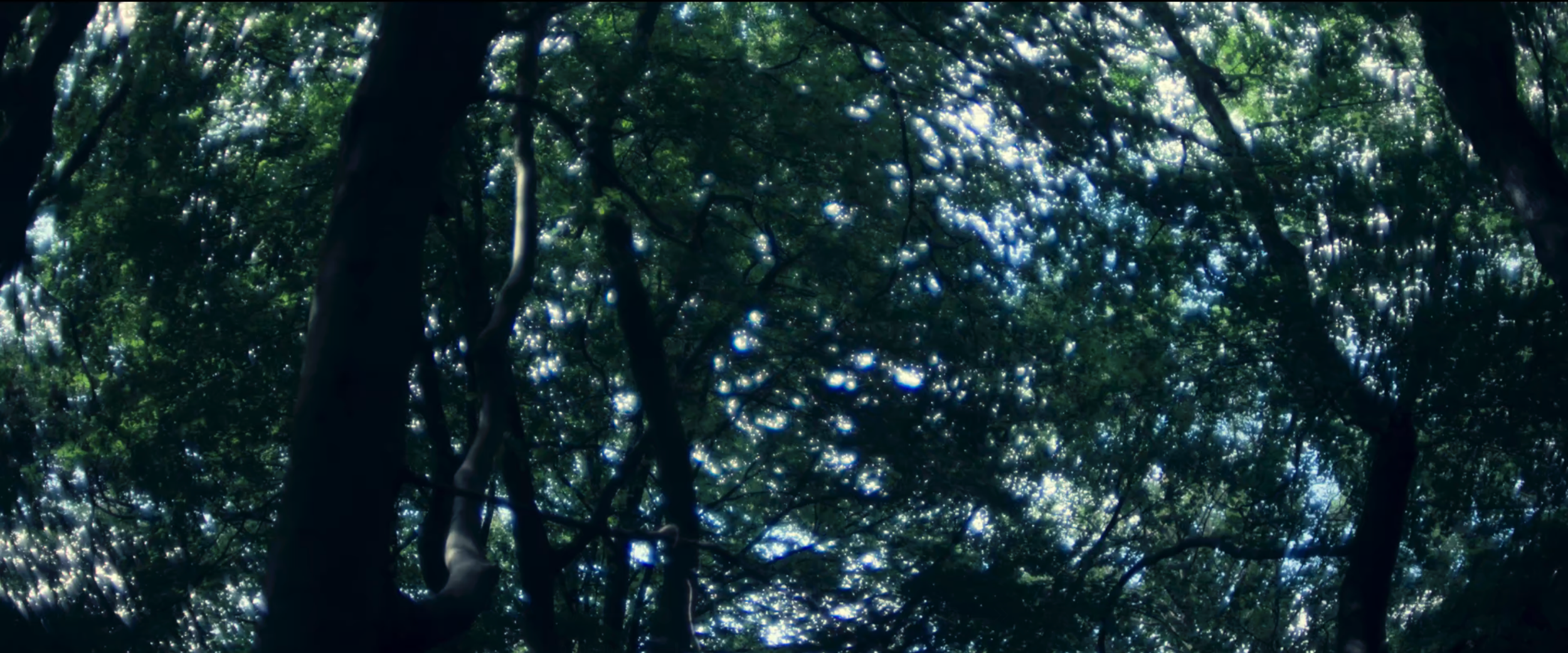 Screenshot+2026-10-05+at+22.24.54.png
