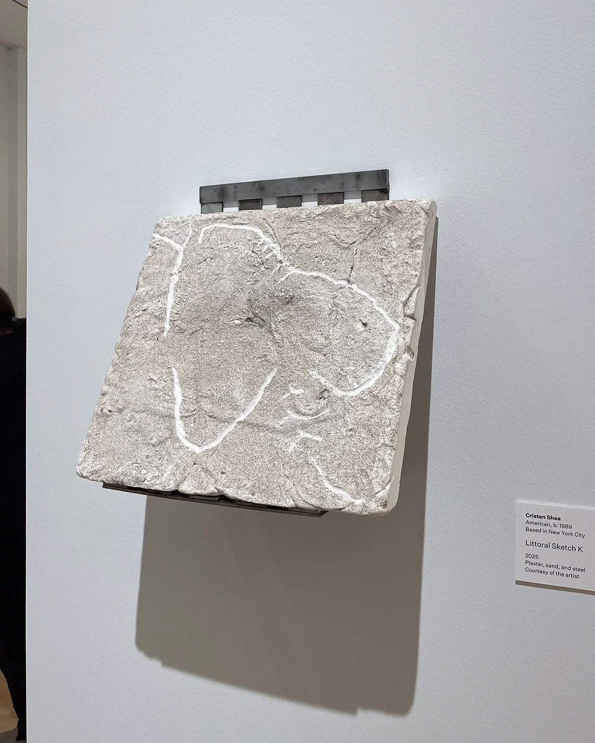 SHEA_CRISTEN_littoralsketchK_2025.jpg