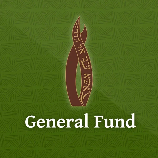 General Fund Support: