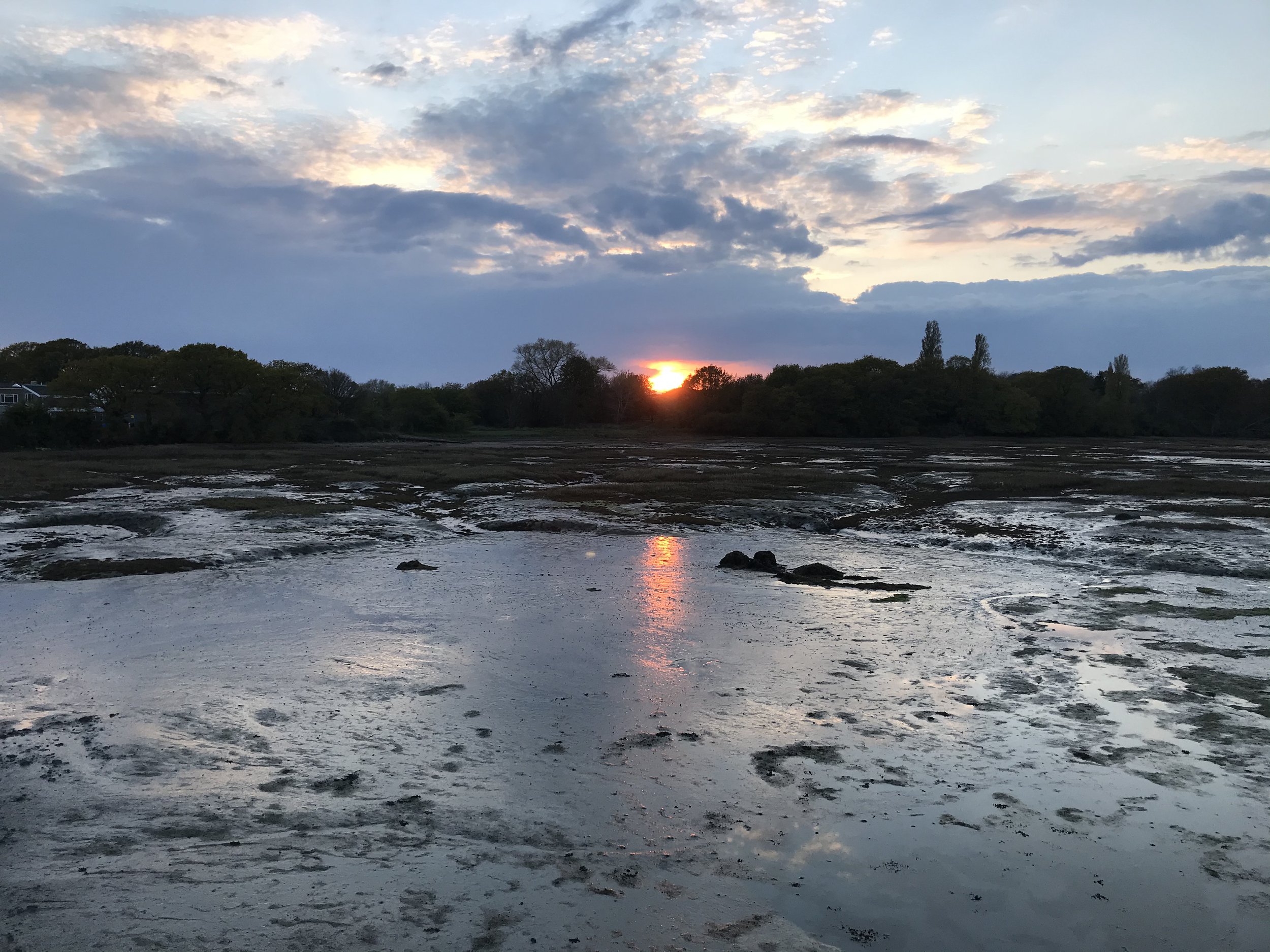 sunset over the mud.jpeg
