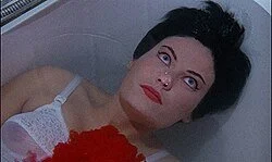 VCR Vortex - VHS Night - Blood and Black Lace (1964) / The Cat O’ Nine Tails (1971)