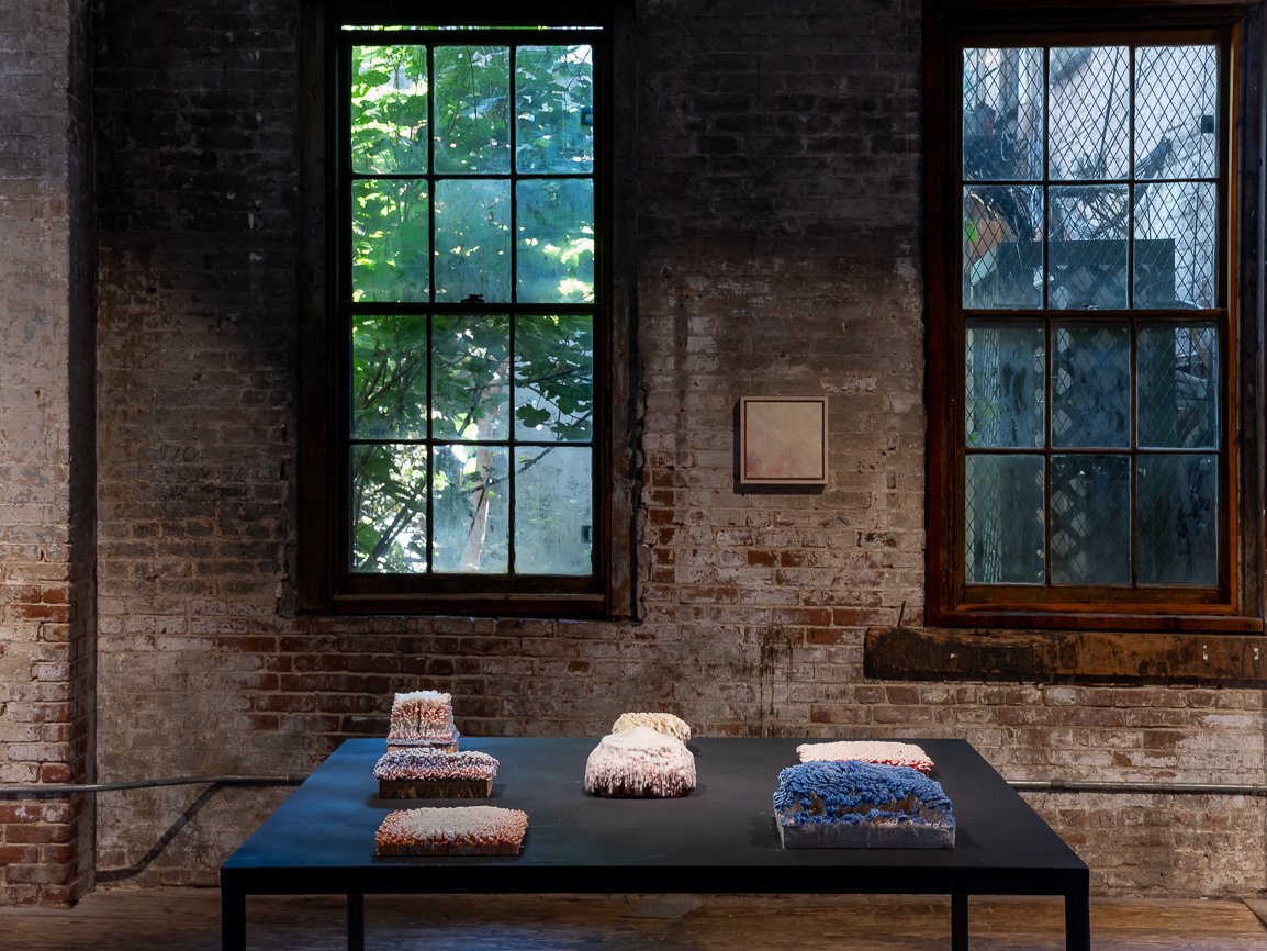 Exhibition view,   Growing Matter, 2023