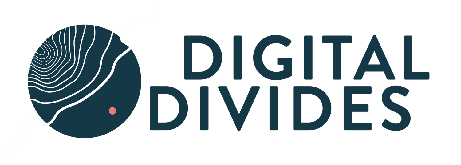 Digital Divides
