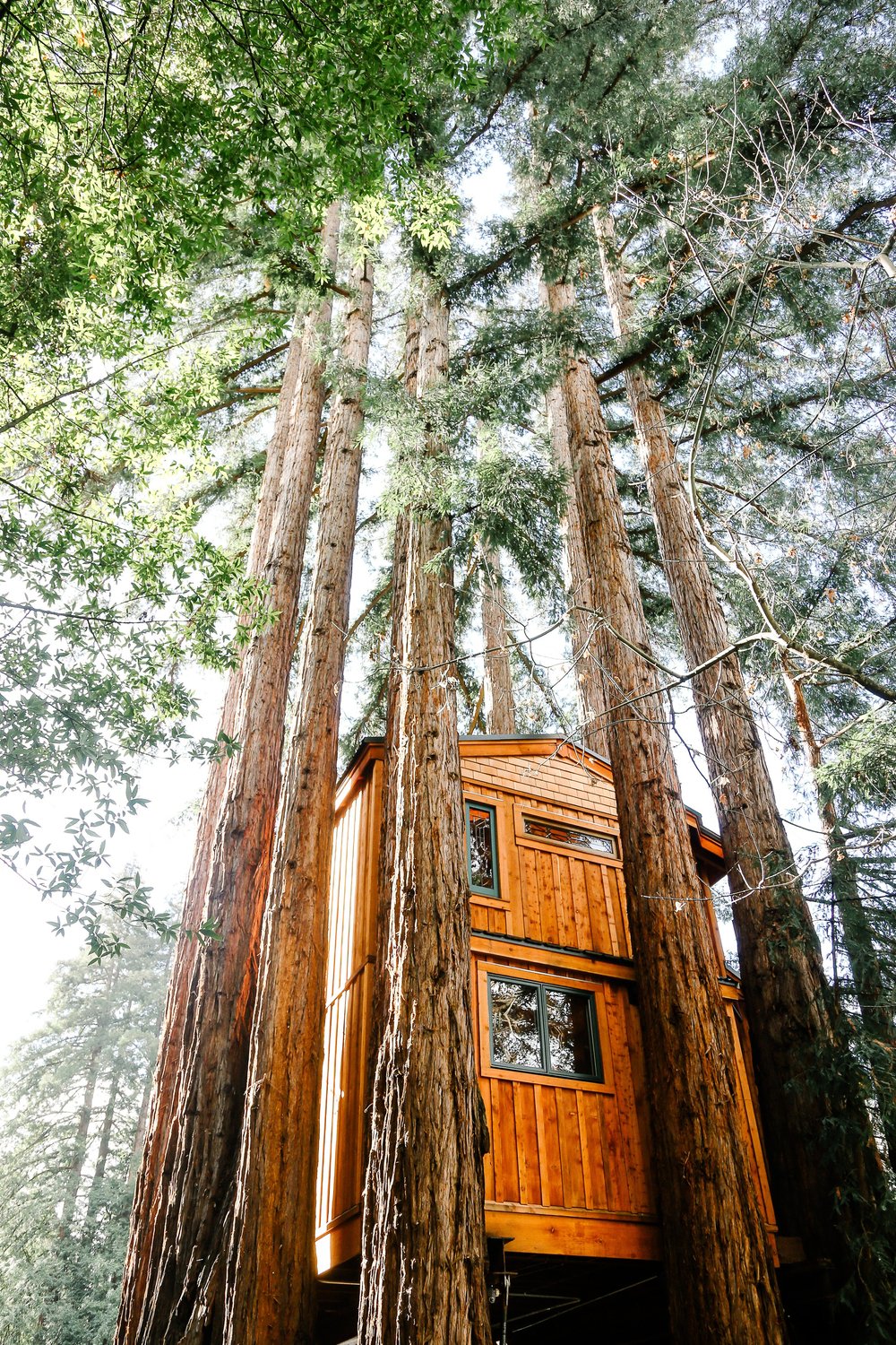 Redwood Treehouse — Invision Design + Build