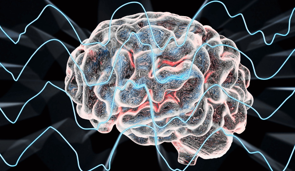 The Three Brains and Its Egos