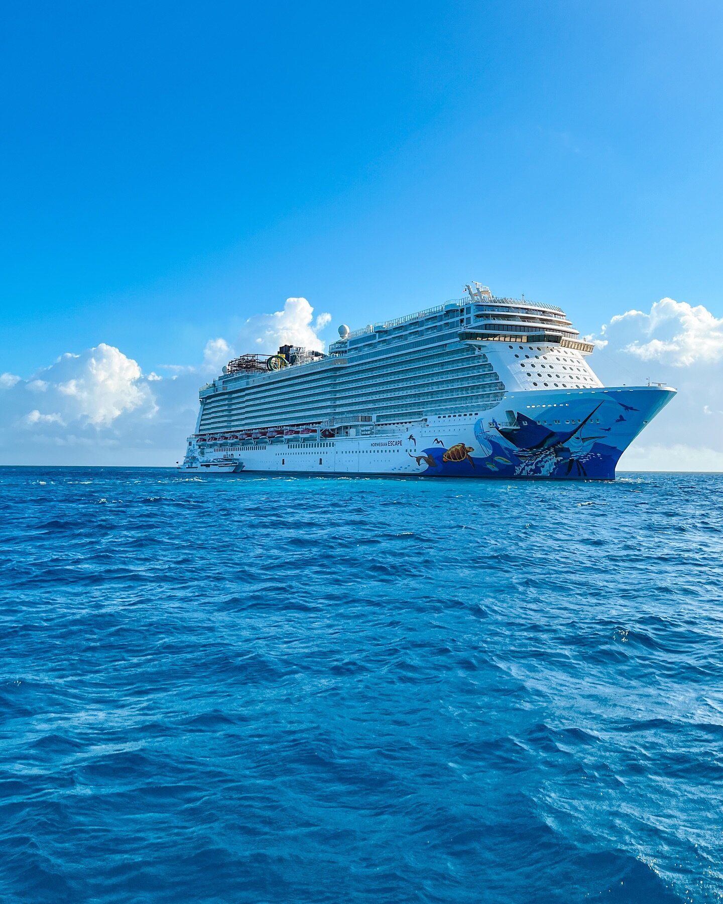 Soaking up the sun while island hopping in the Caribbean ☀️ 🛳️: Norwegian Escape 📍Great Stirrup Cay #freestyletravelers