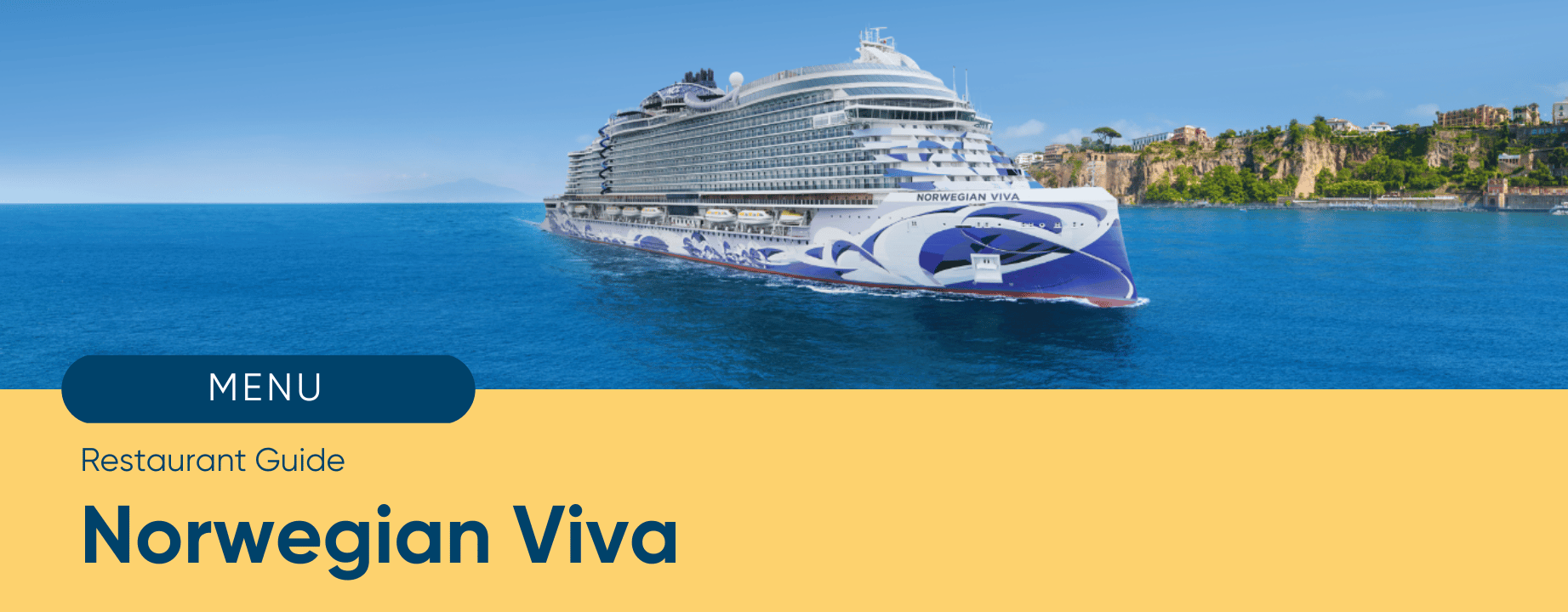 New ship VIVA - Experiences