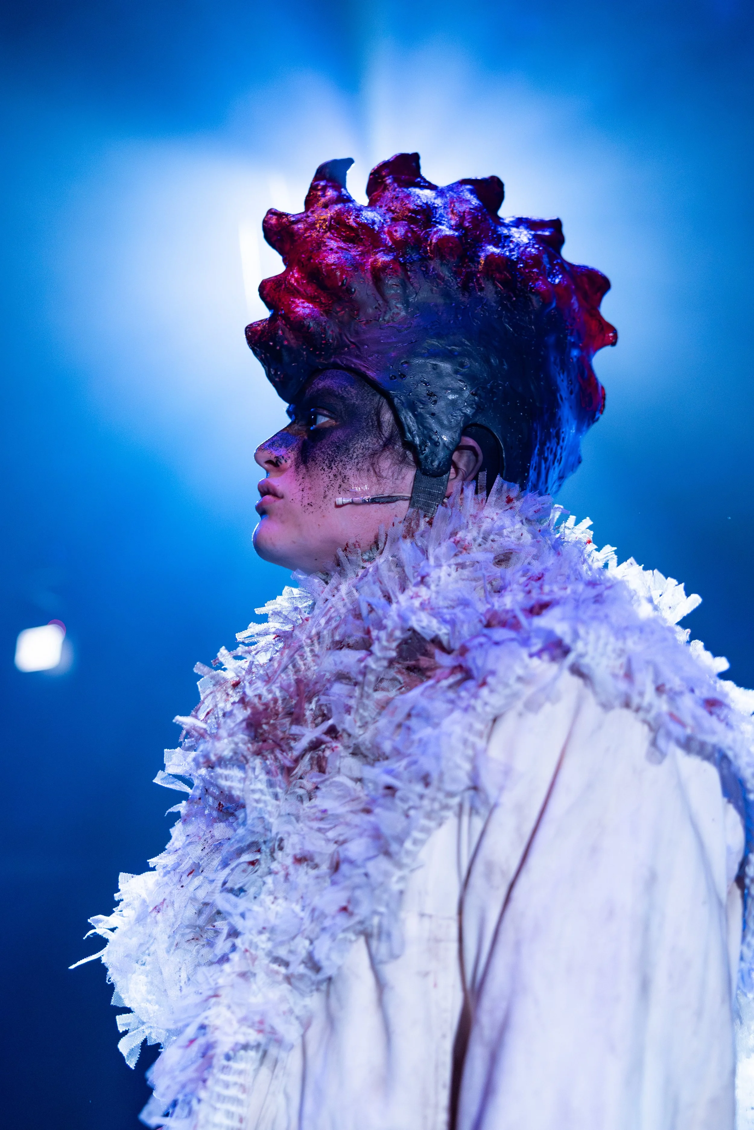 White Rooster_Justin Barbin-136.jpg